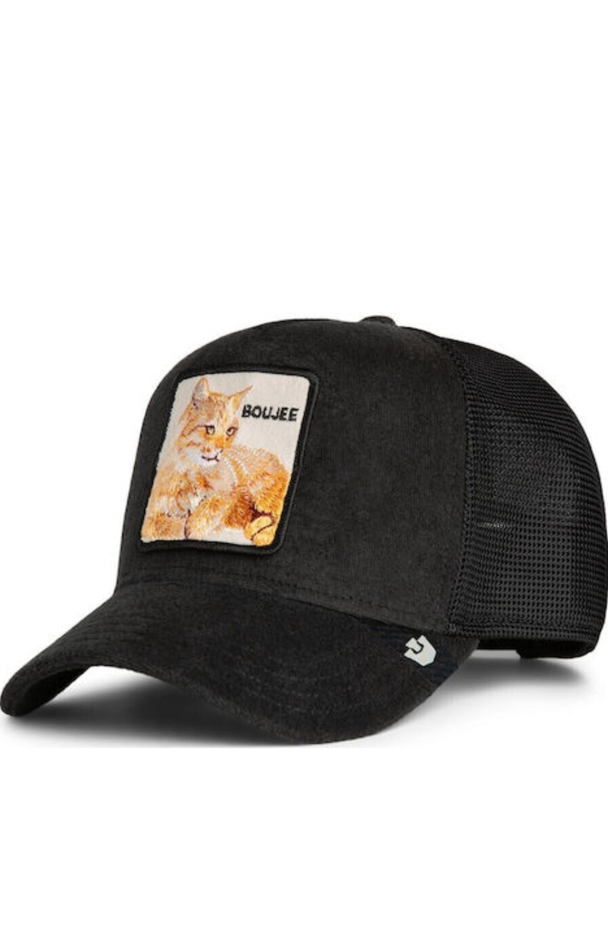 Terry Cloth Cat