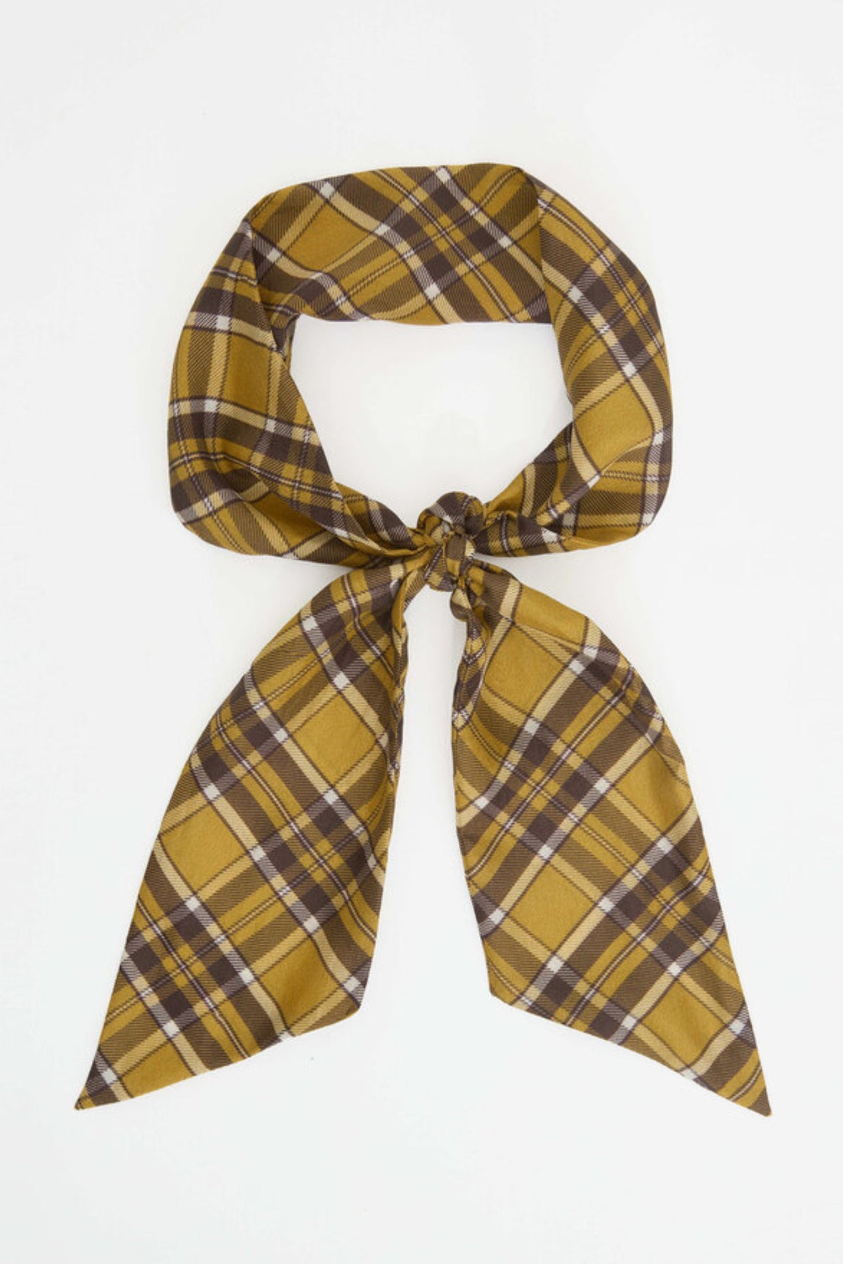 Silk Scarf