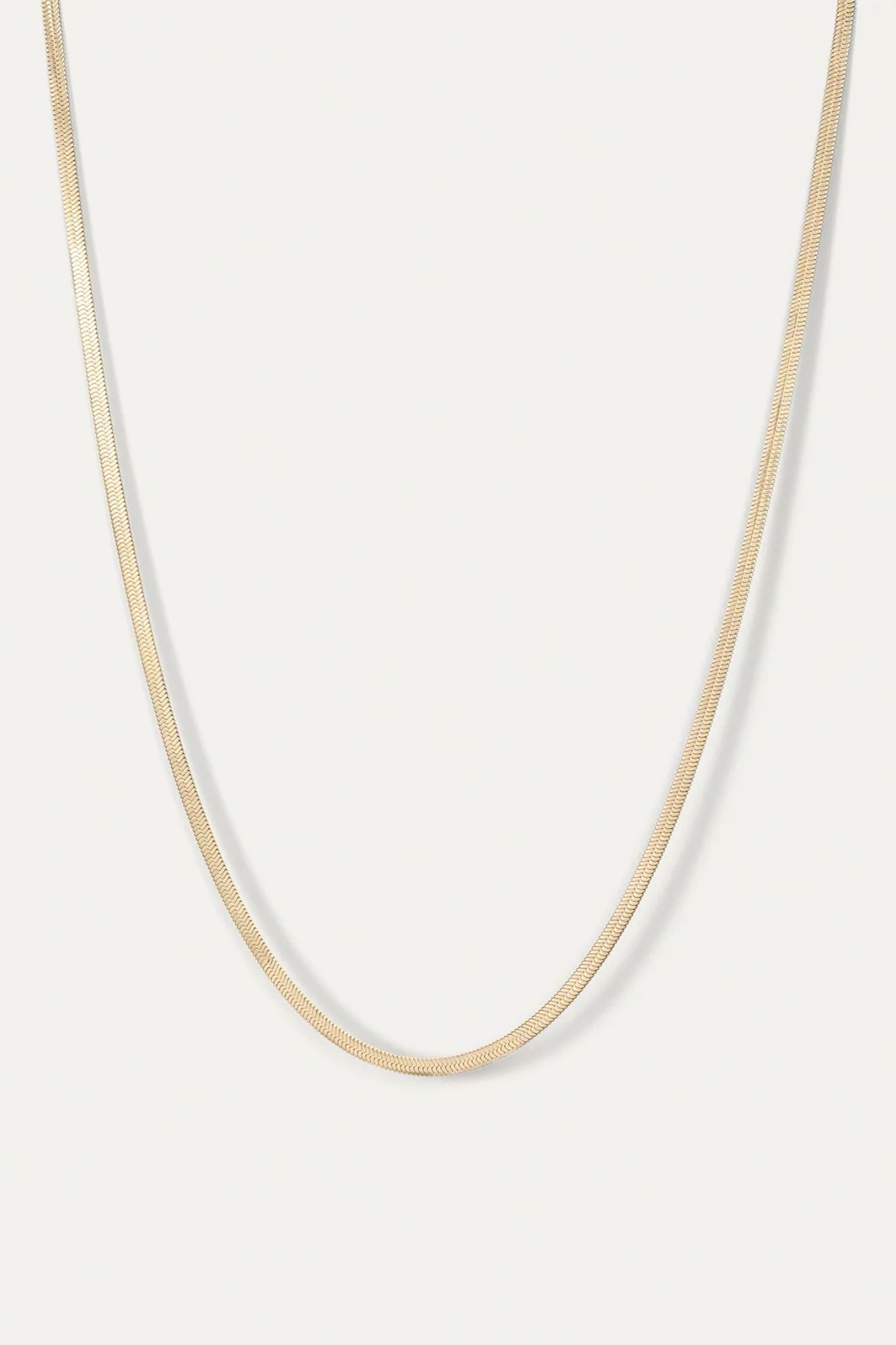Zeina Chain