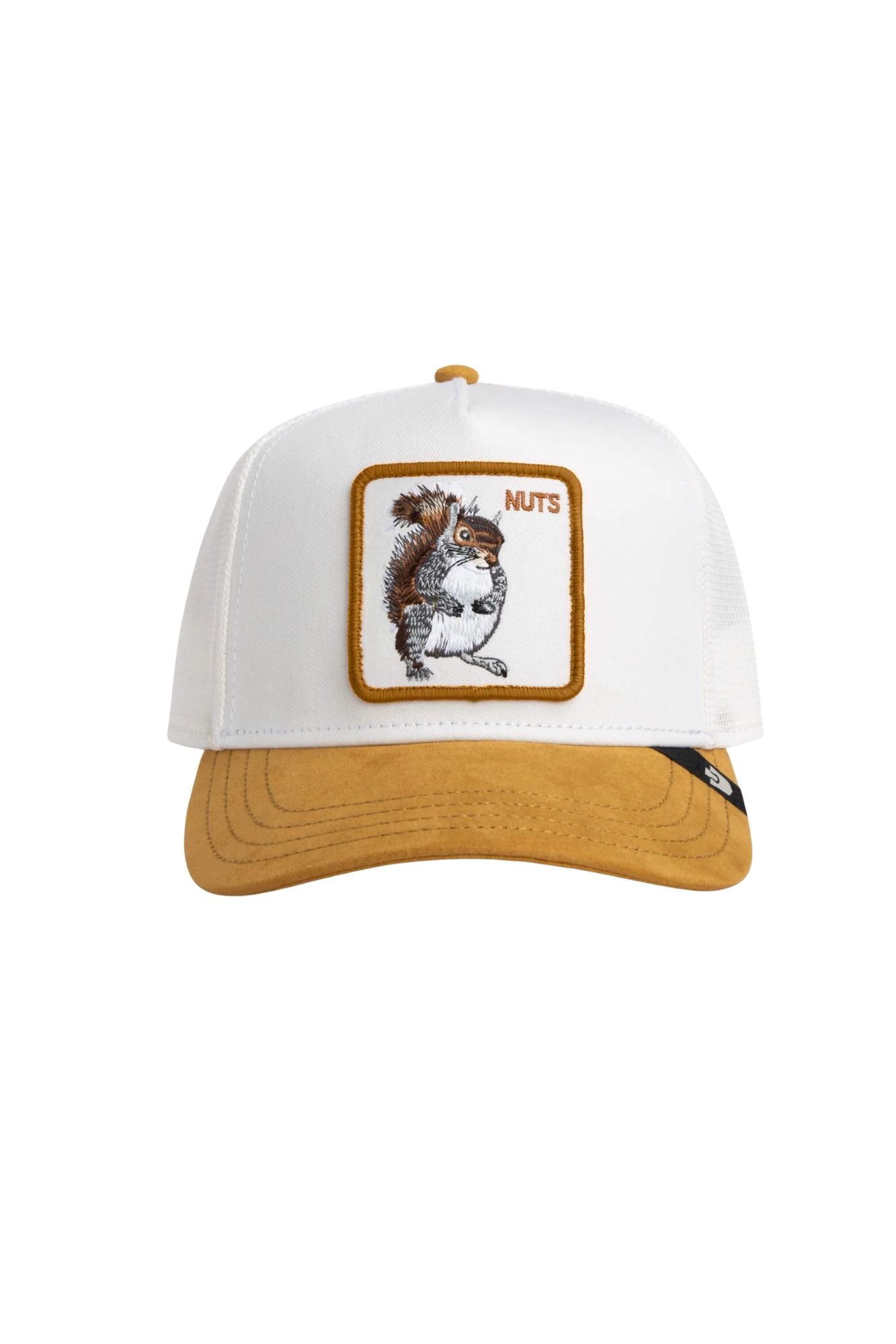 Sude Squirrel