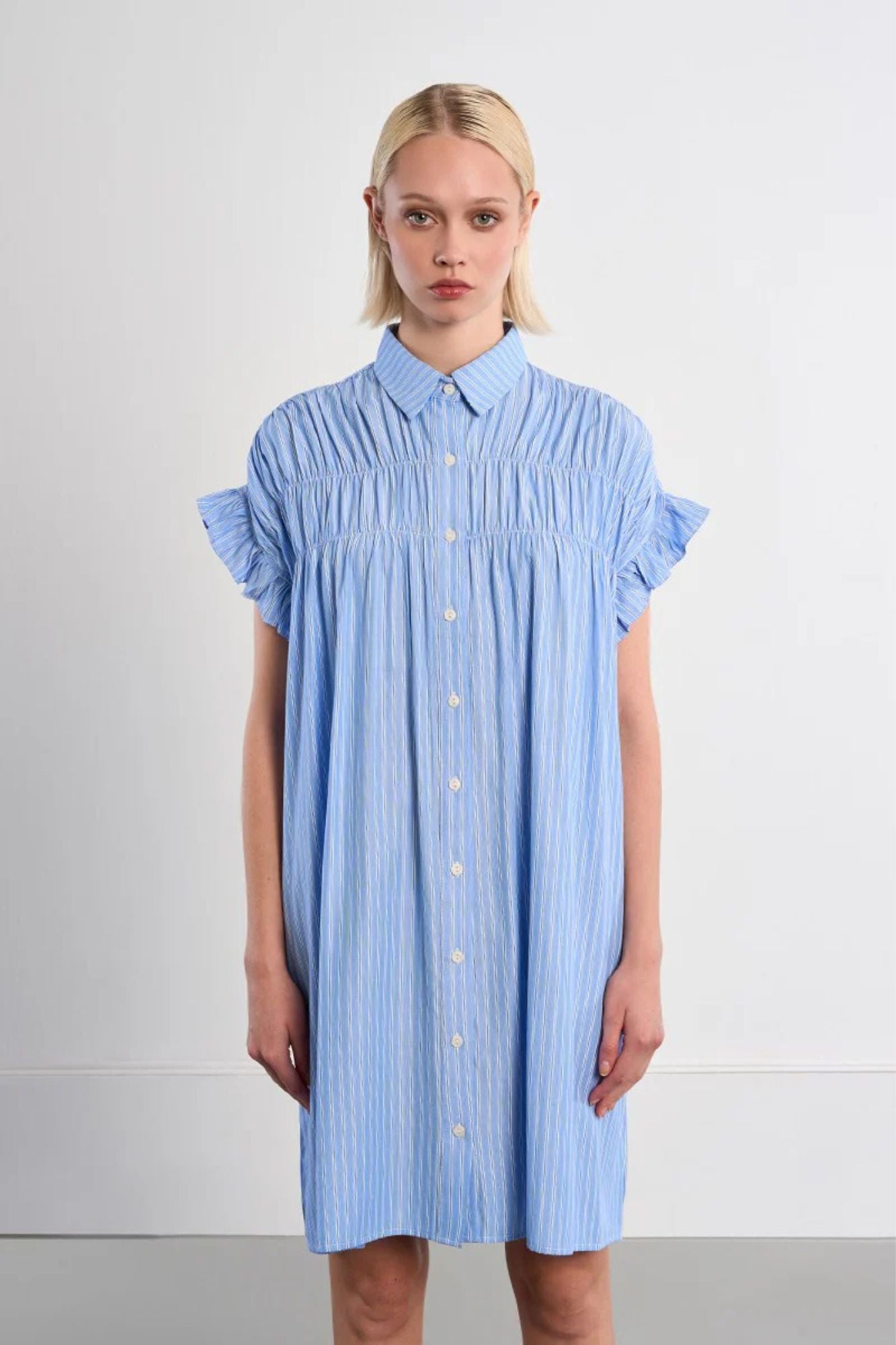 Ladies Woven Dress