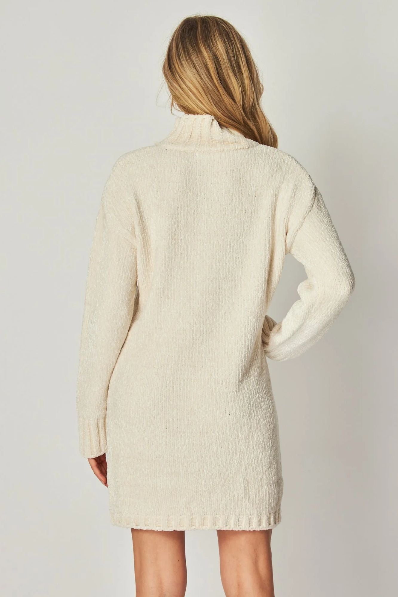 Penny Turtle Neck Sweater Dress