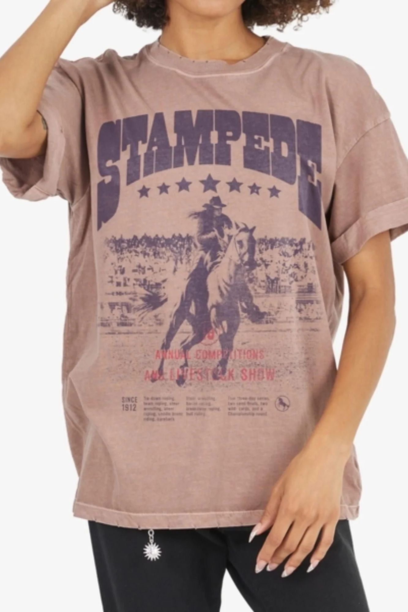 Stampede Poster Boyfriend Tee