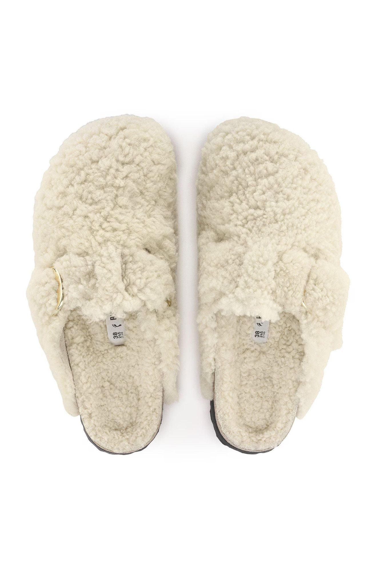 Boston Big Buckle Teddy | Narrow