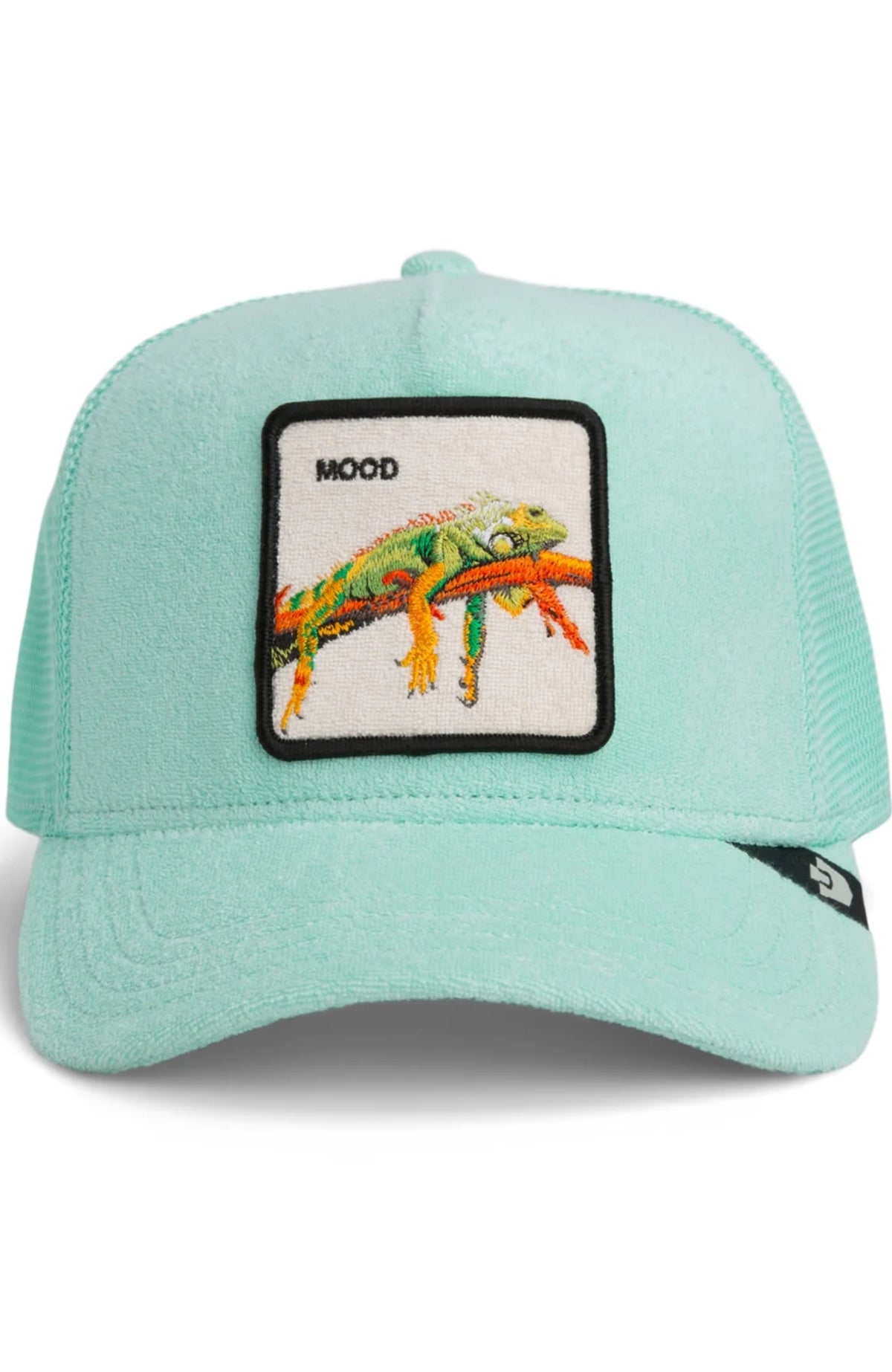Terry Cloth Iguana