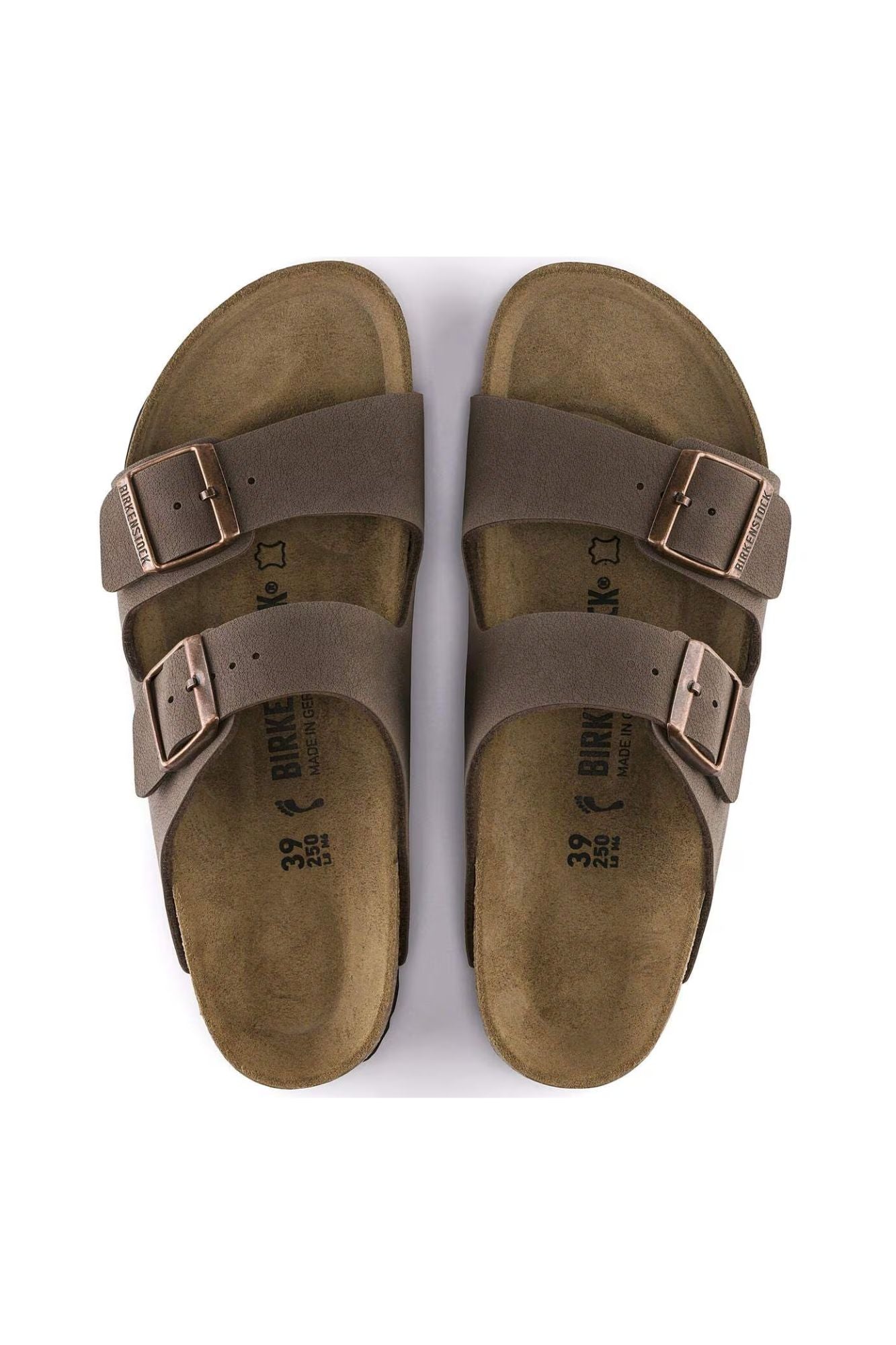 Arizona Birkibuc | Regular