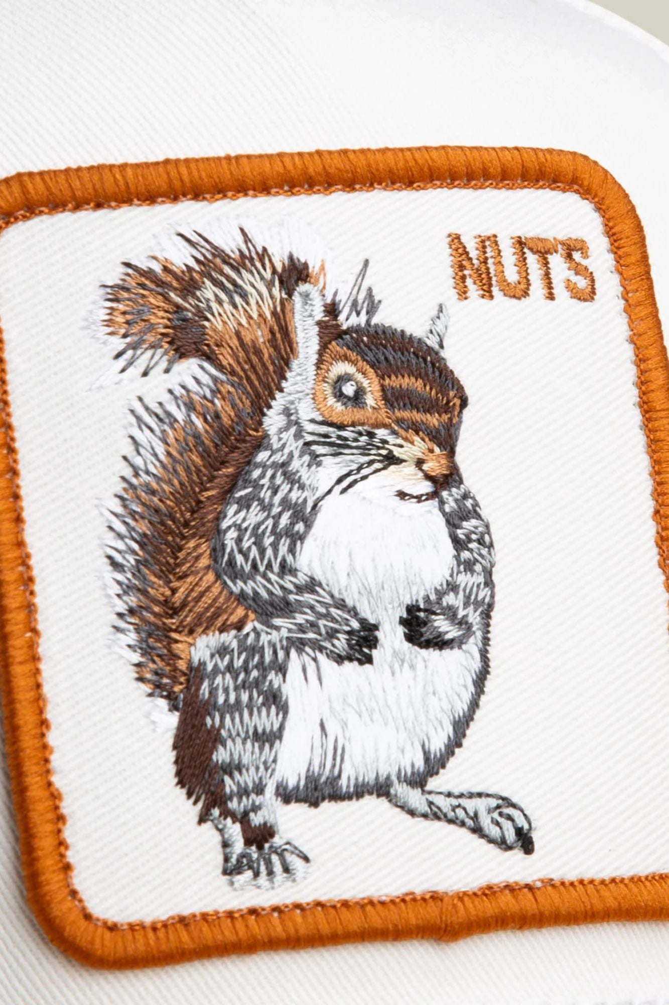 Sude Squirrel