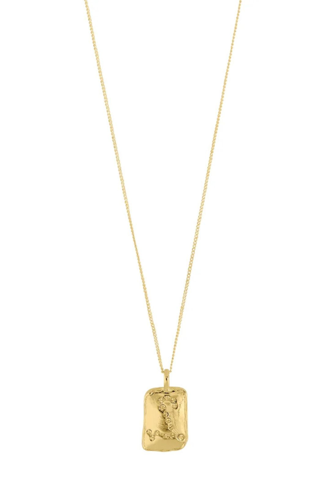Pisces Necklace