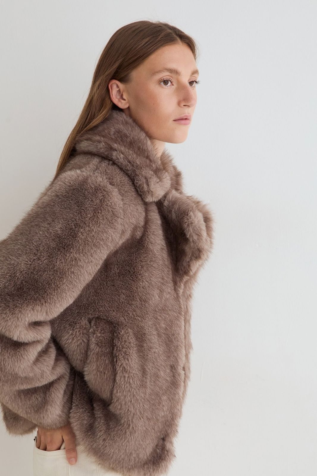 Short Faux Fur Coat