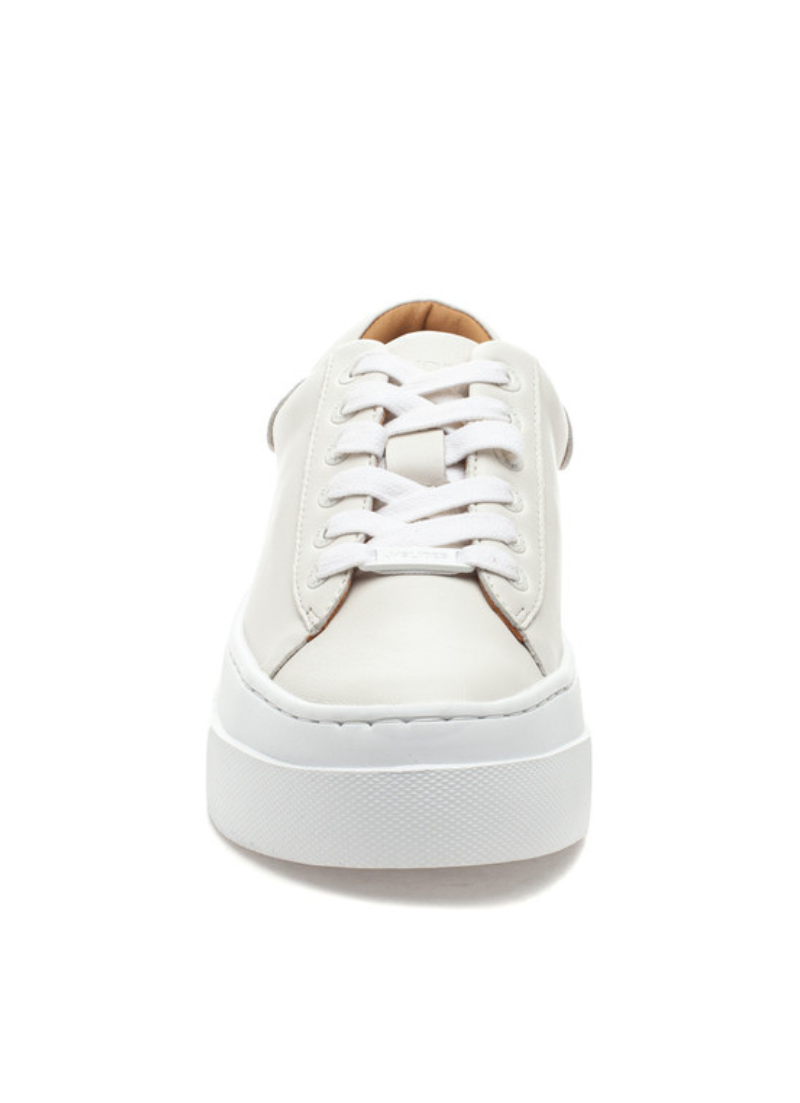 Amanda Sneakers