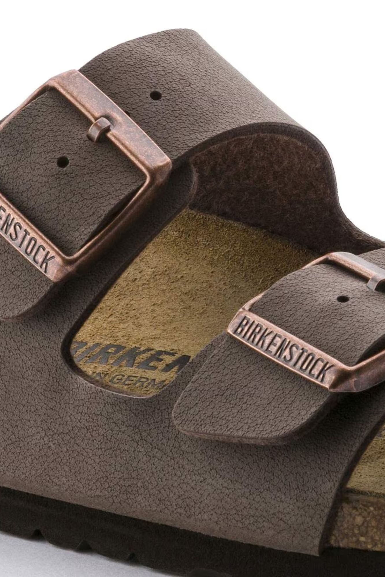 Arizona Birkibuc | Regular
