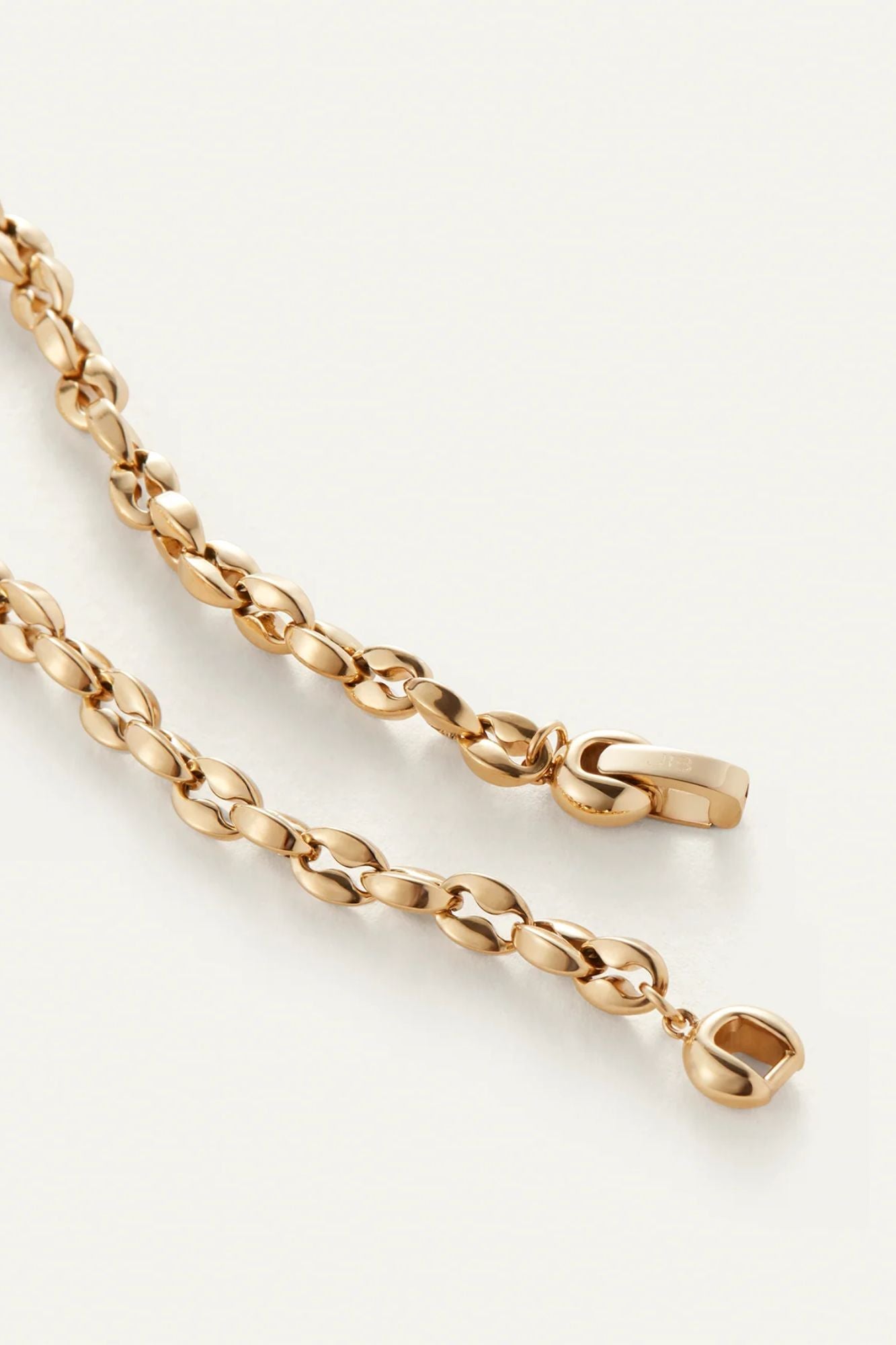 Dhani Anklet