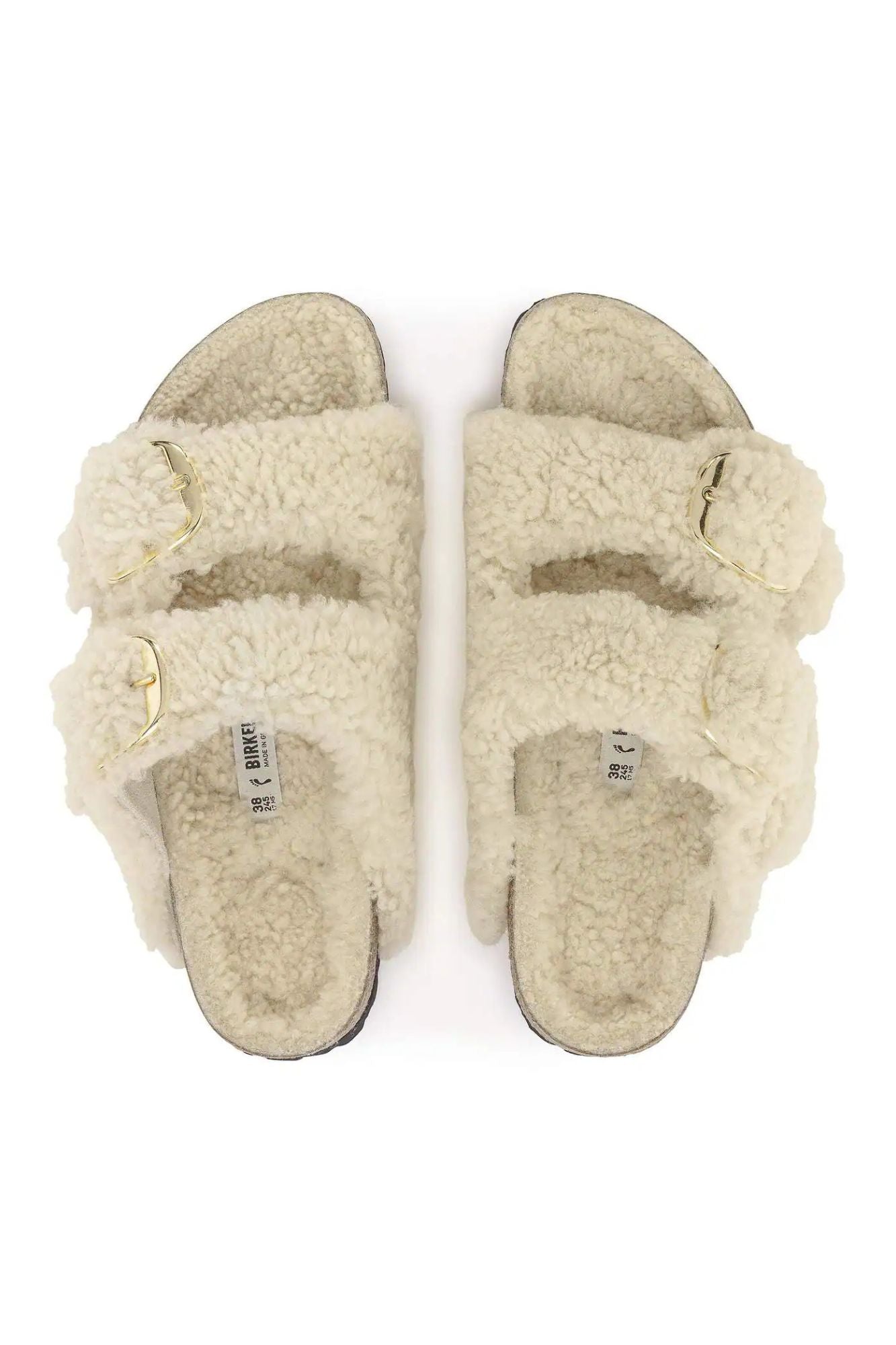 Arizona Big Buckle Teddy | Narrow