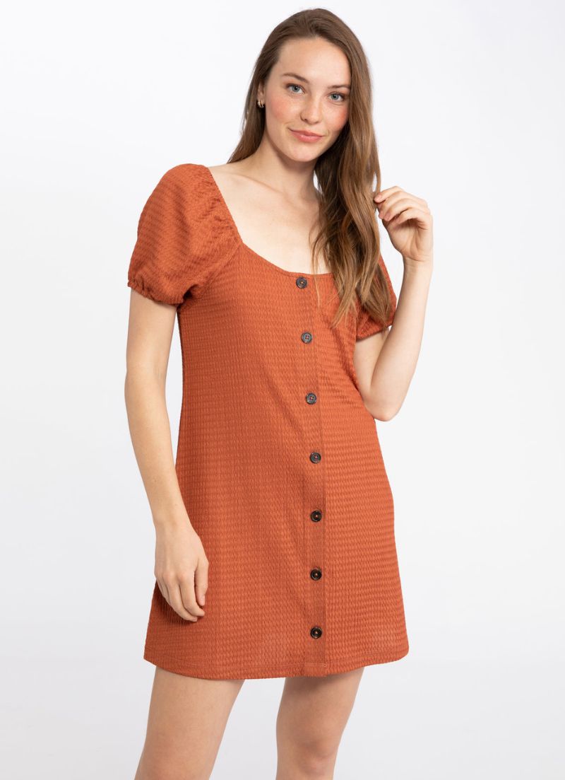 Button Up Dress
