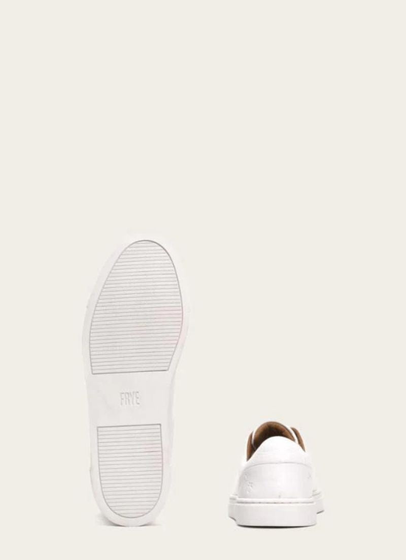 Baskets basses en dentelle Ivy
