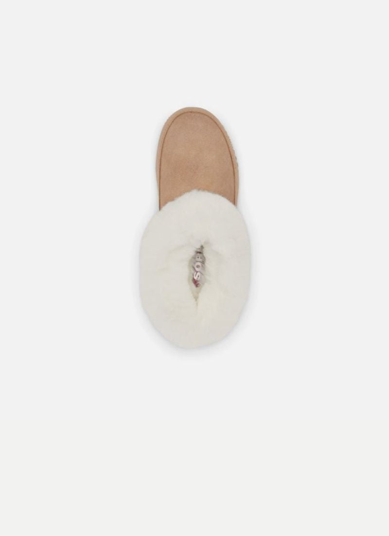 Coffee Run Slippers