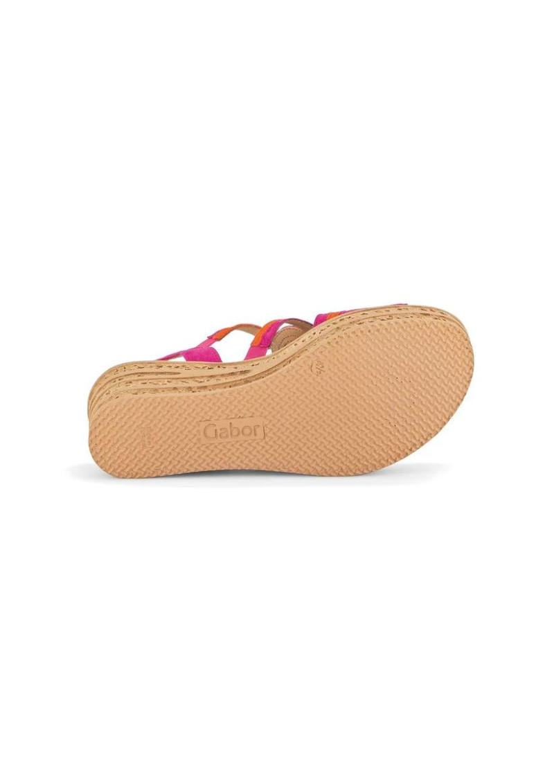Isabelle Wedge