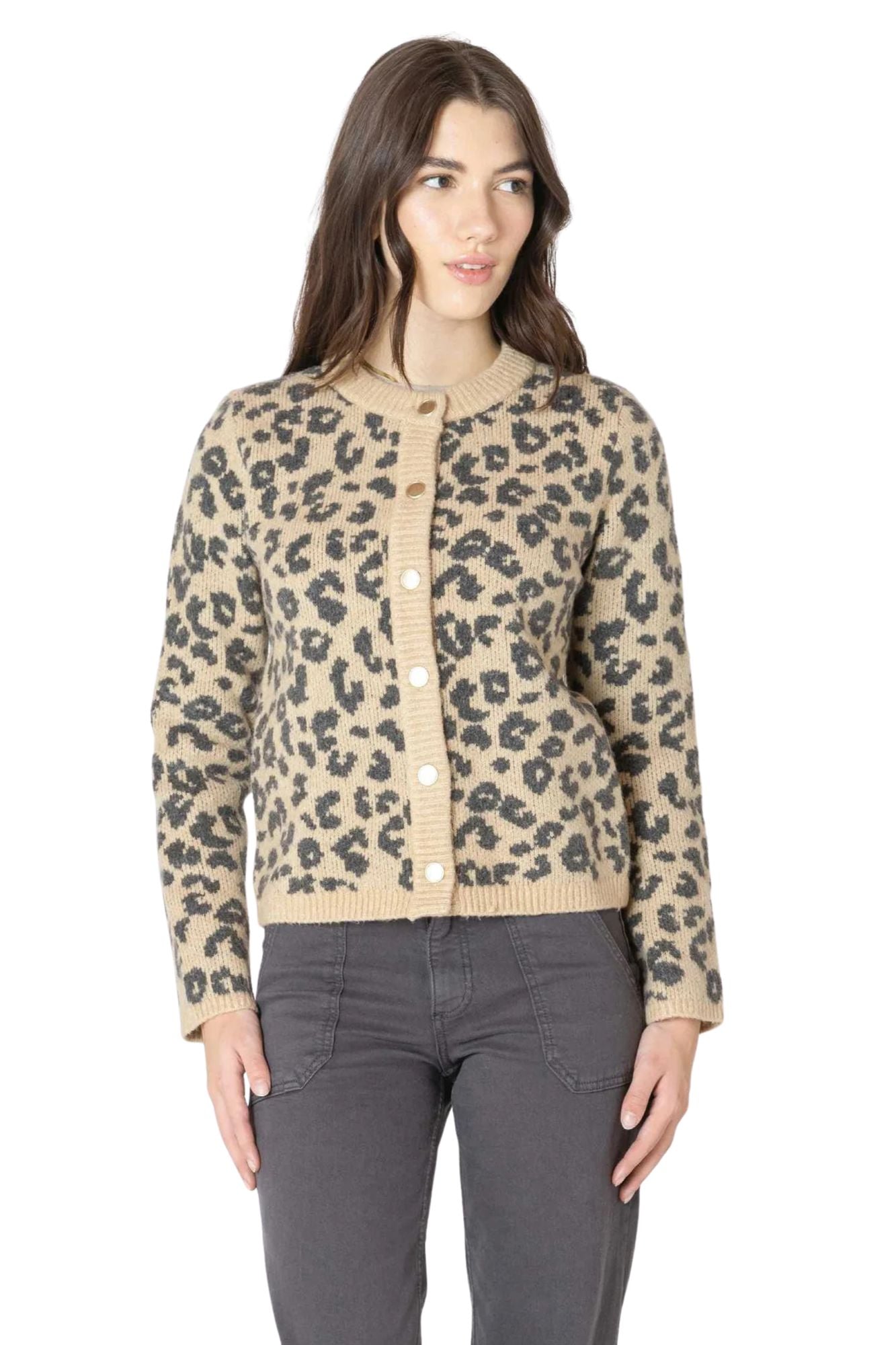 Crewneck Patterned Cardigan