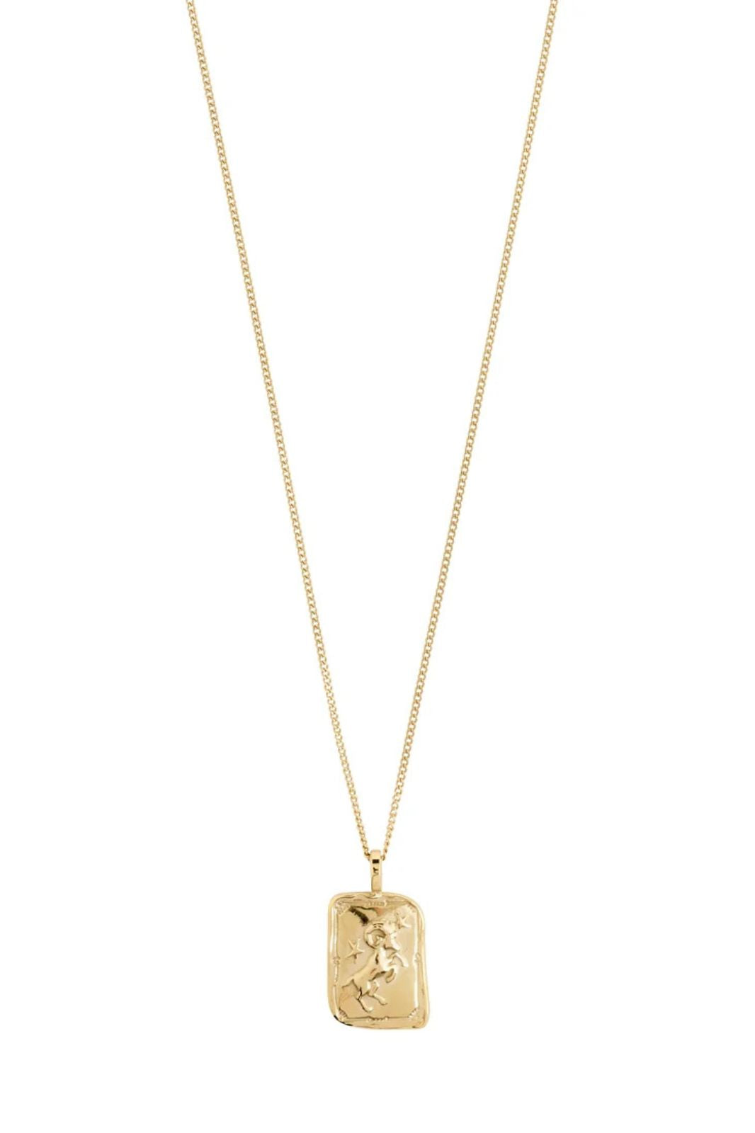 Aries Necklace