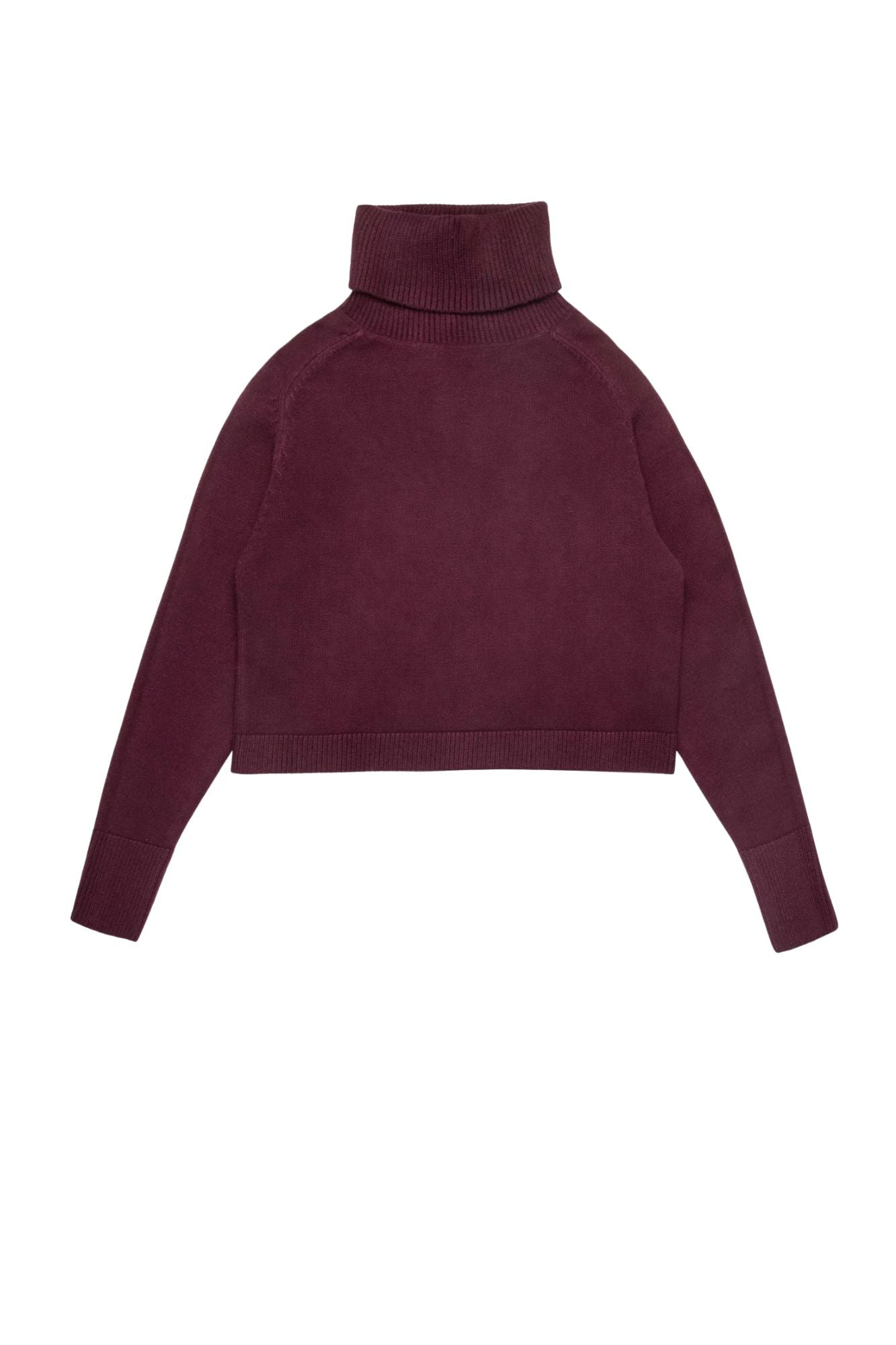 Pugliese Turtleneck