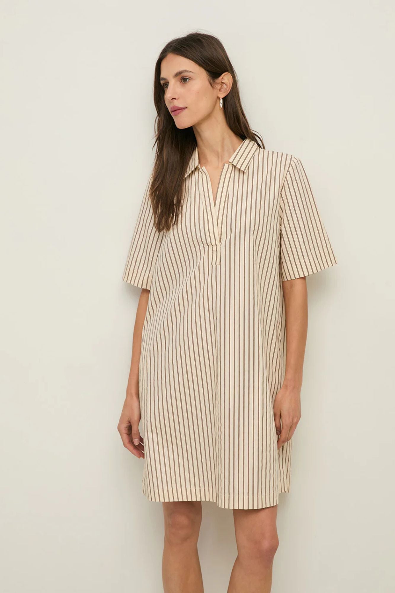 Short Collar Dress