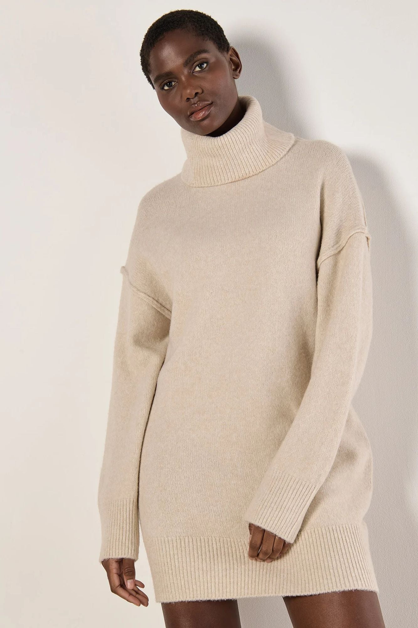 Penny Oversized Roll Neck Sweater Dress