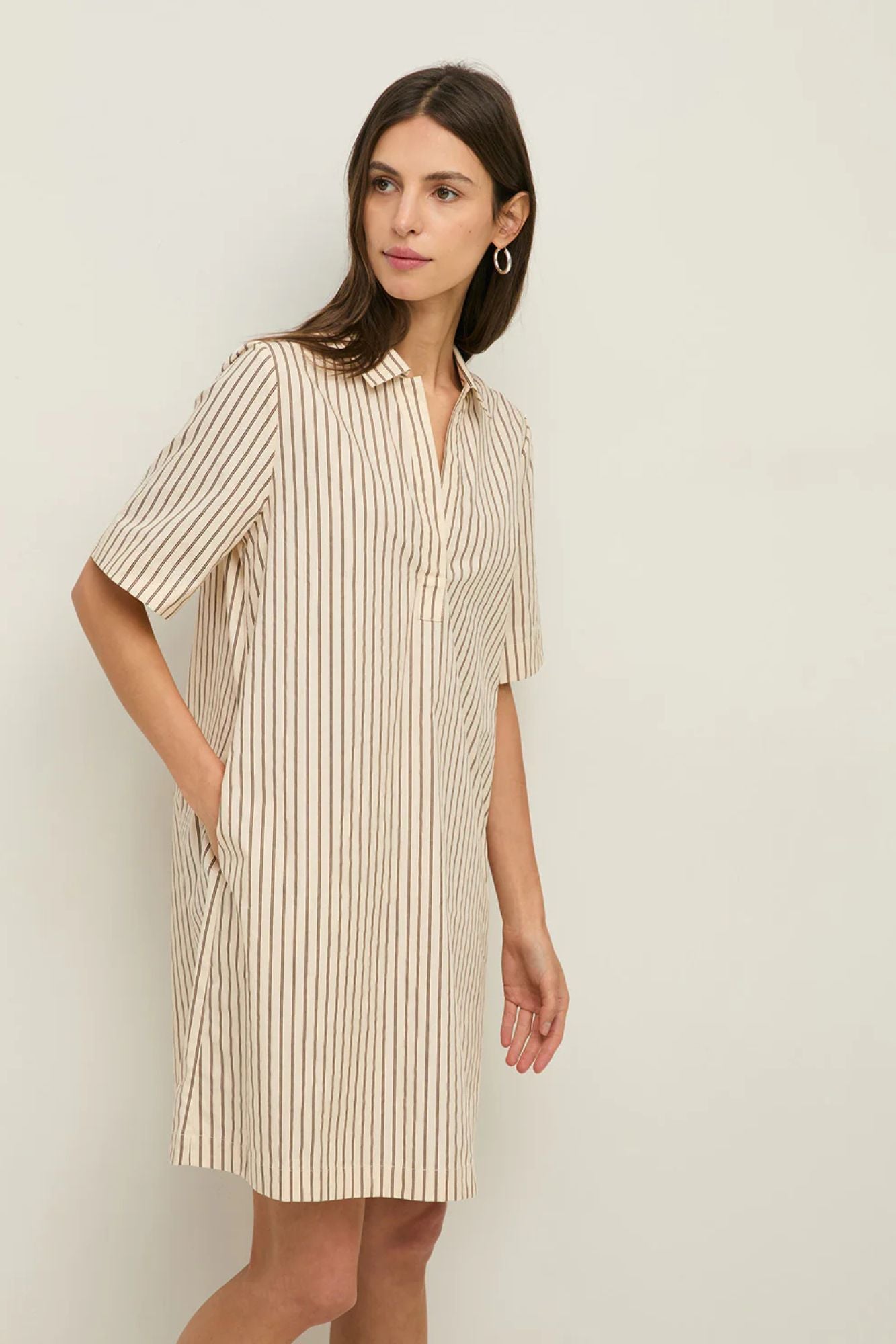 Short Collar Dress