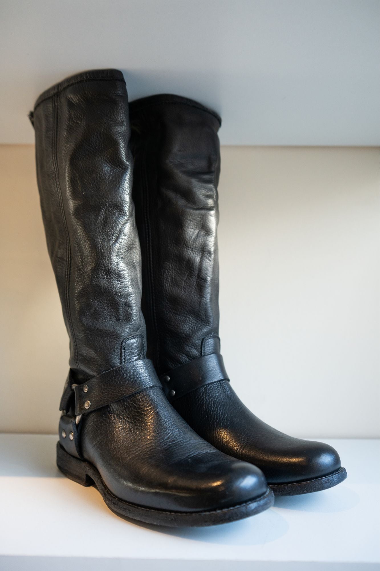 Phillip Harness Tall