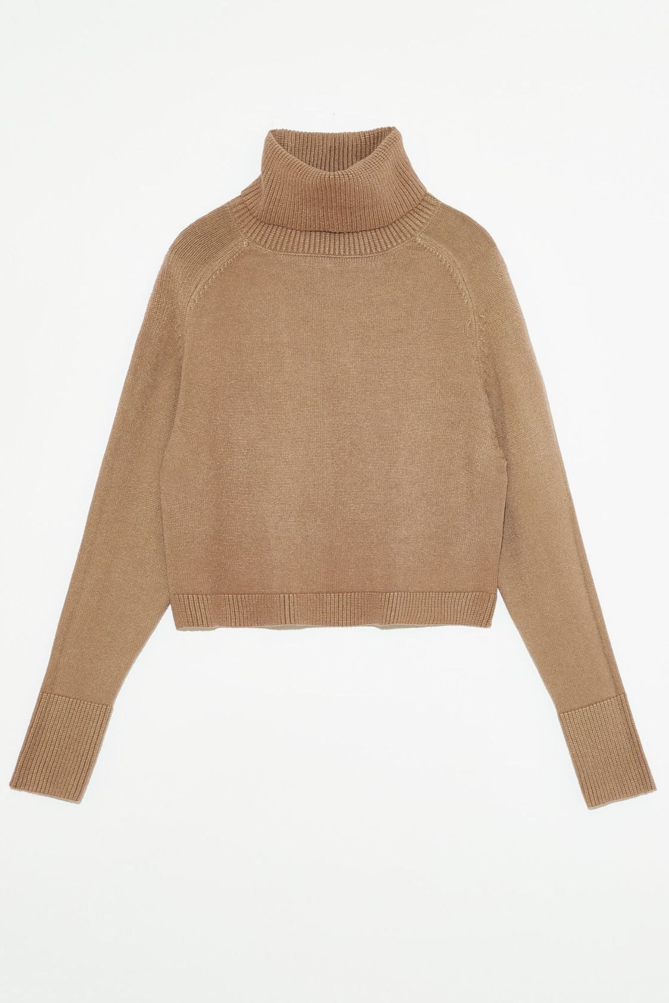 Pugliese Turtleneck Sweater
