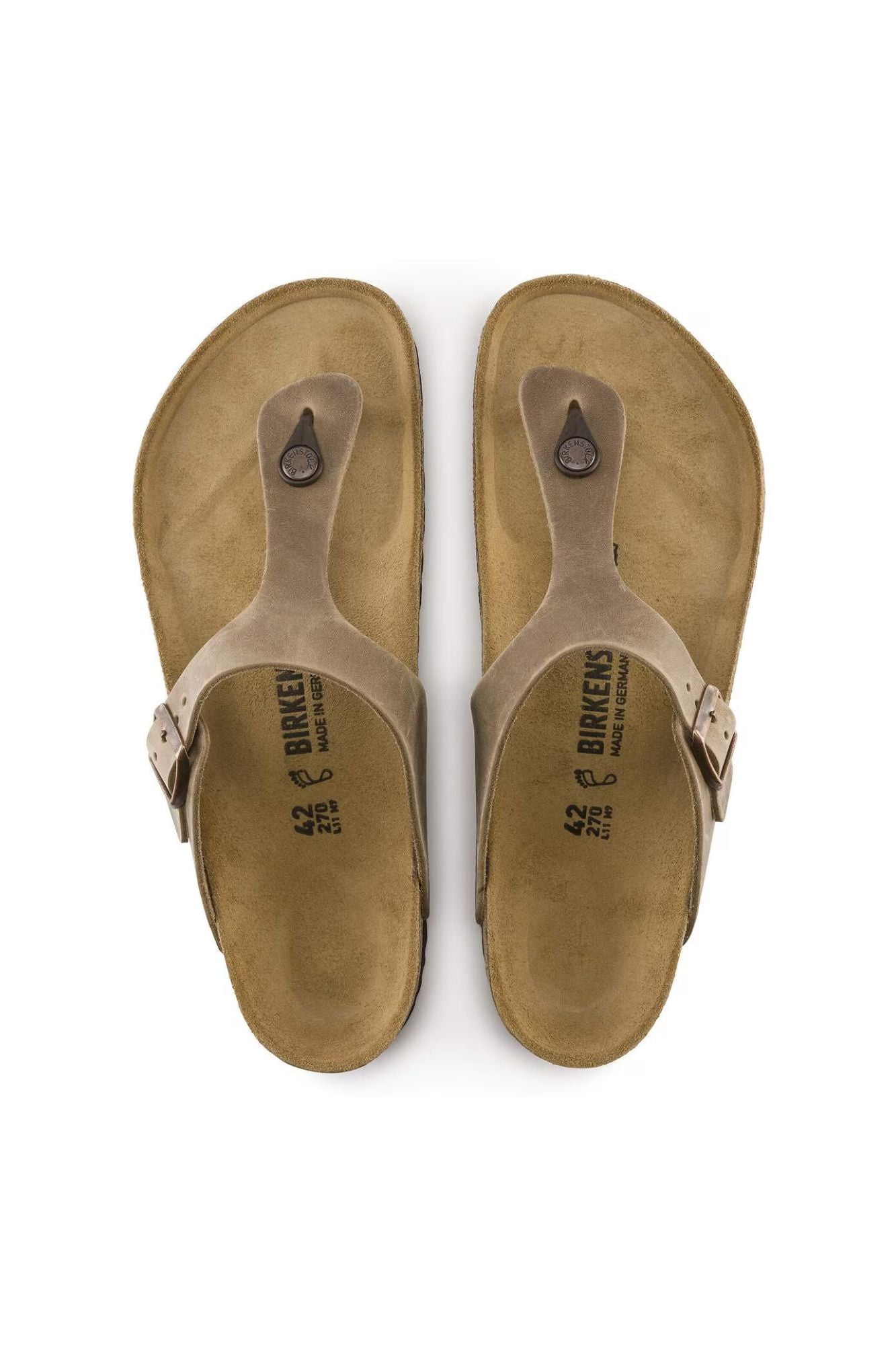 Gizeh Oiled Leather | Regular