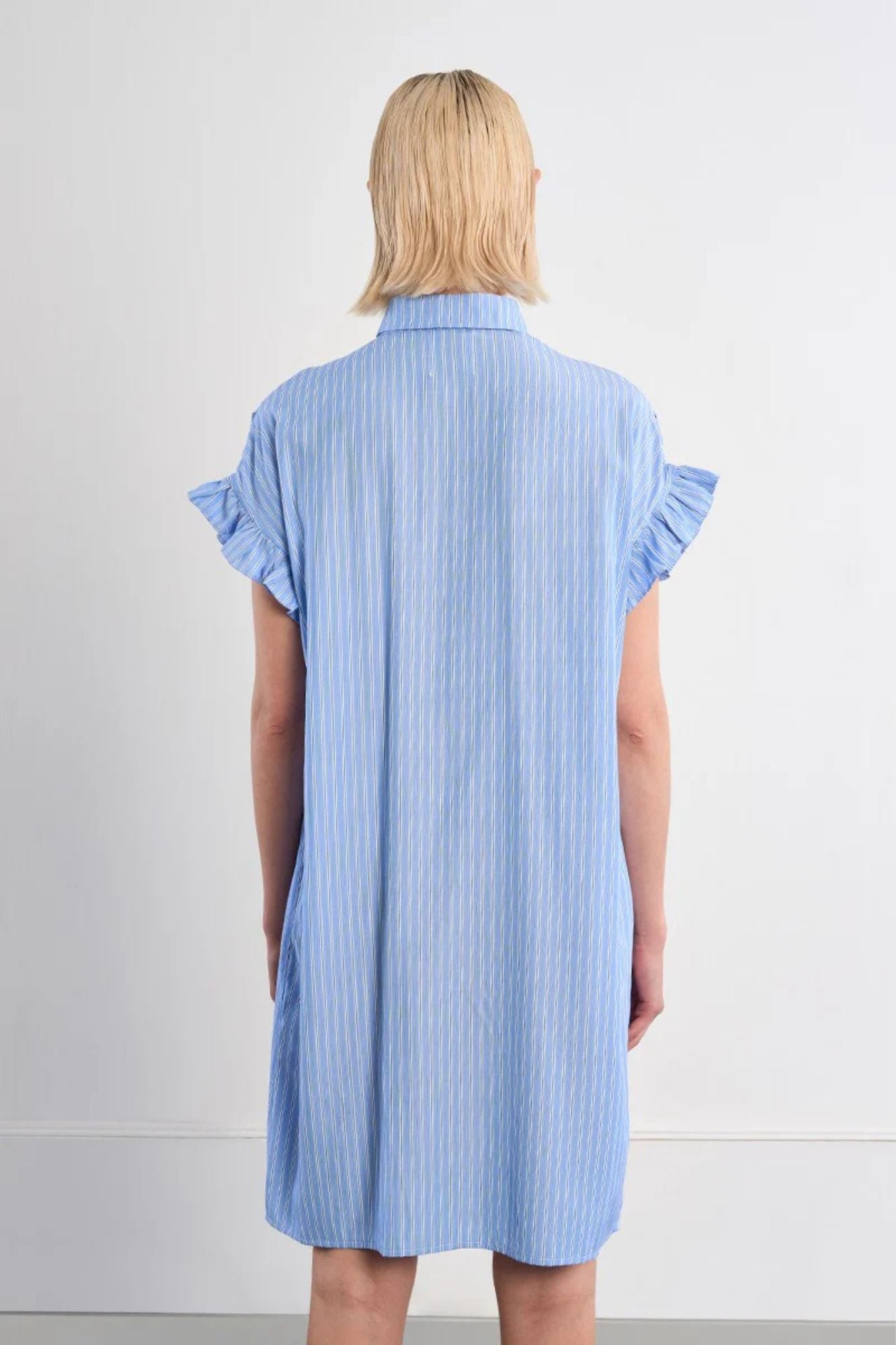Ladies Woven Dress