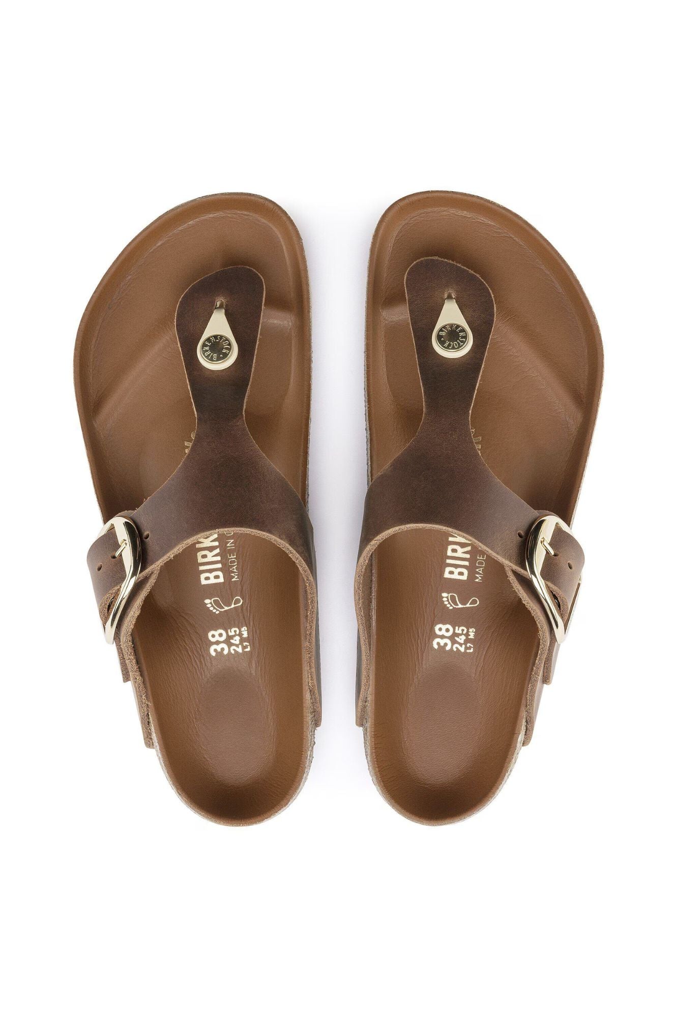 Gizeh Big Buckle Oiled Leather | Regular