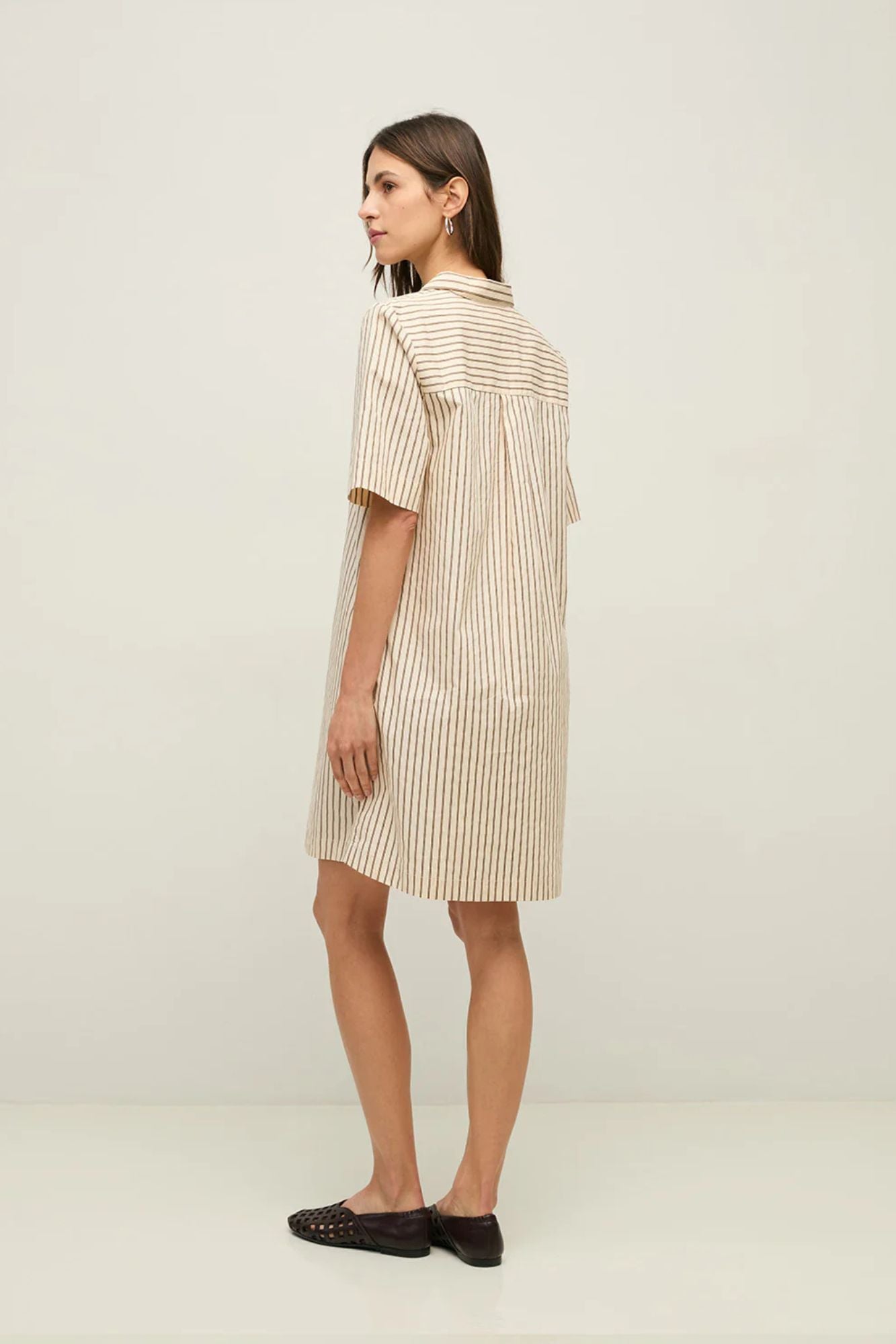 Short Collar Dress