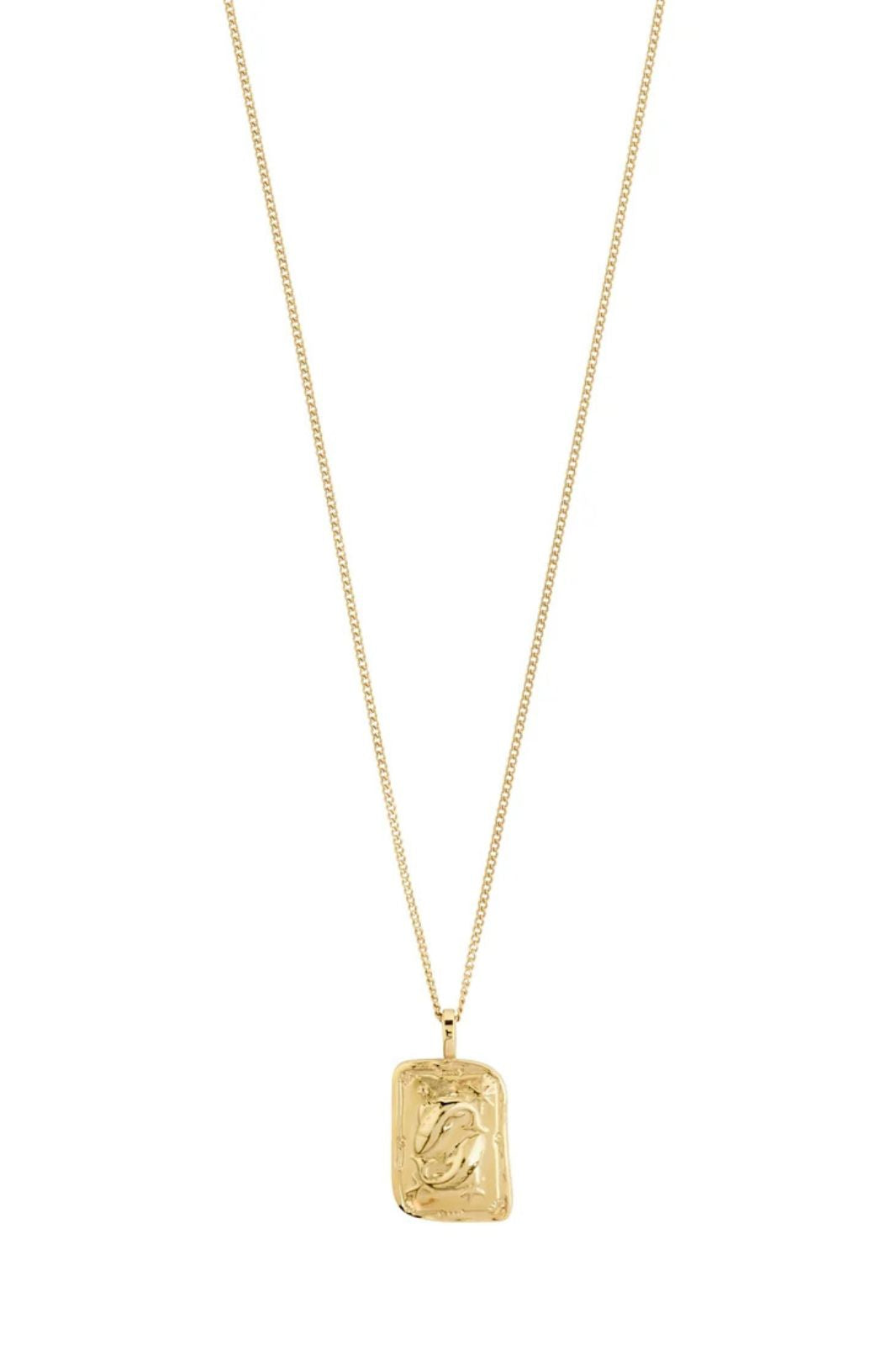 Pisces Necklace