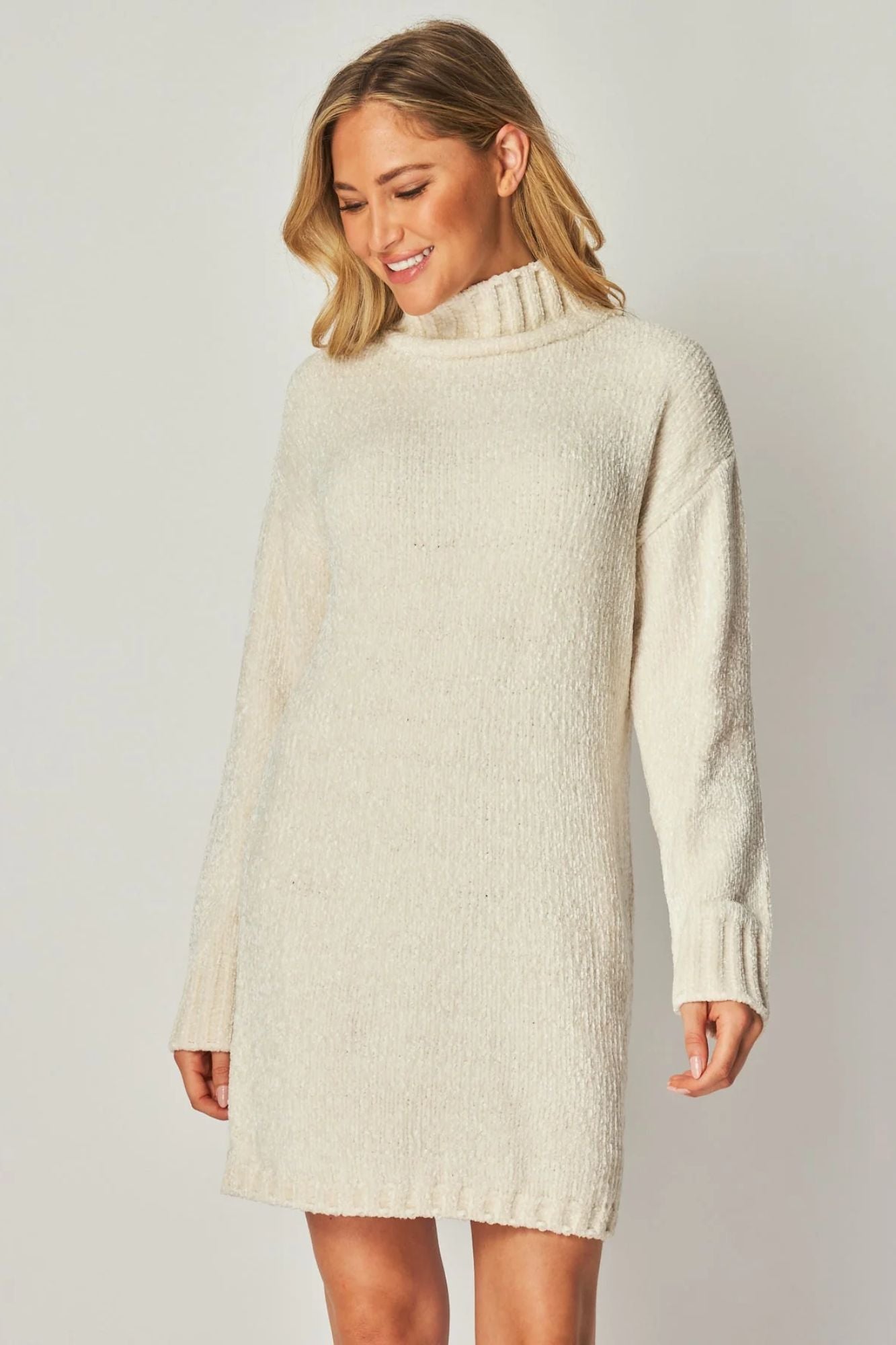 Penny Turtle Neck Sweater Dress
