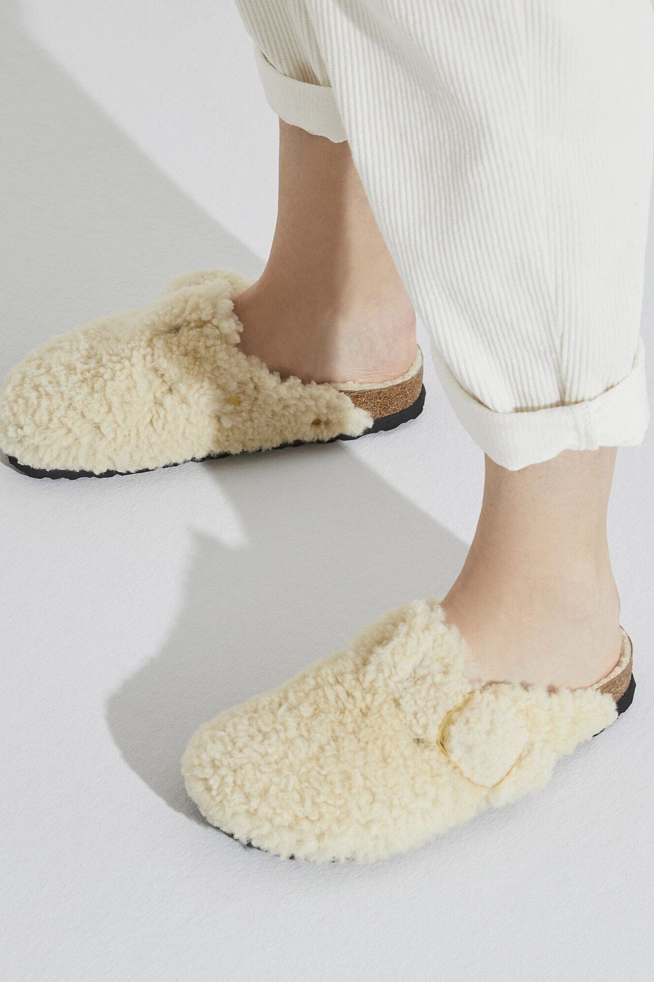 Boston Big Buckle Teddy N