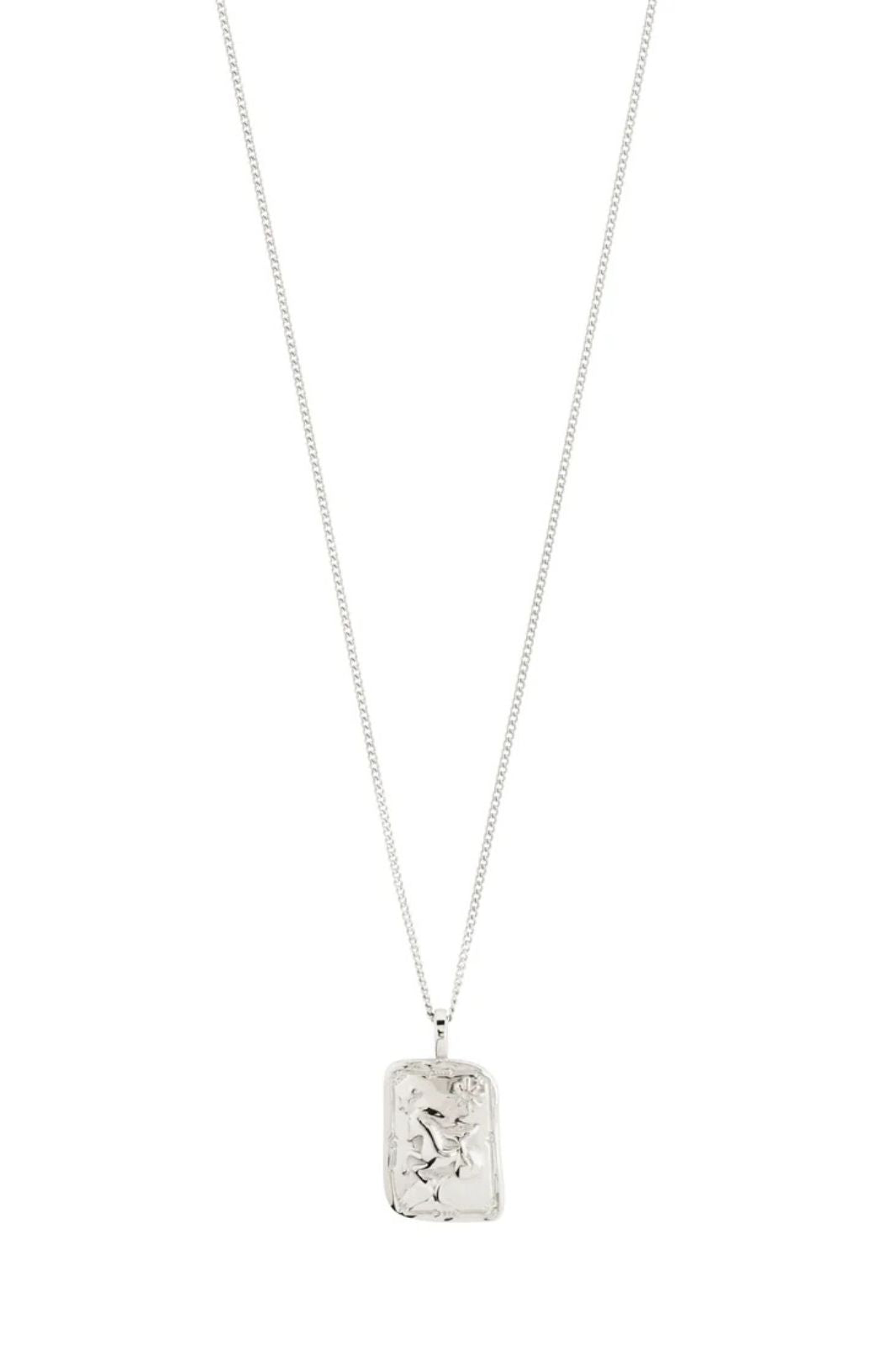 Capricorn Necklace