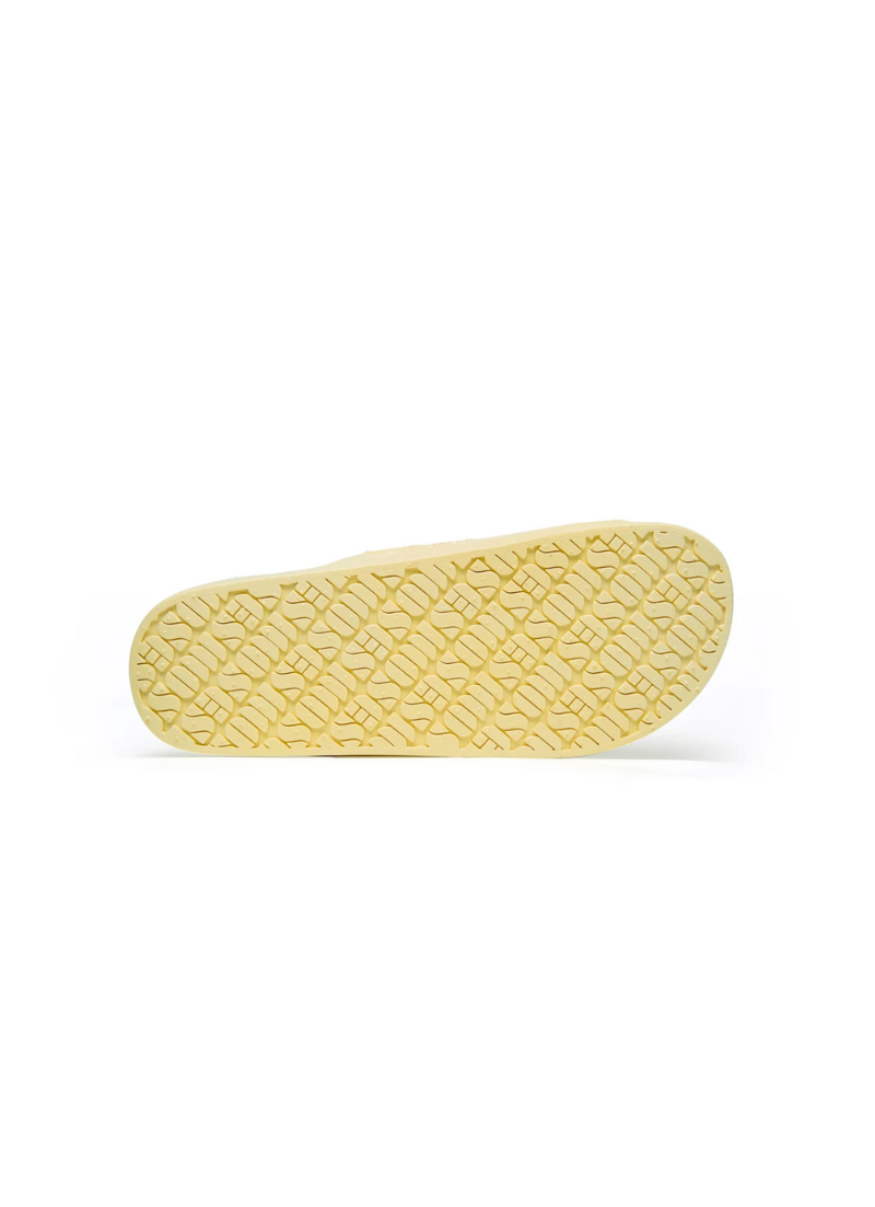 Fancy Slipper