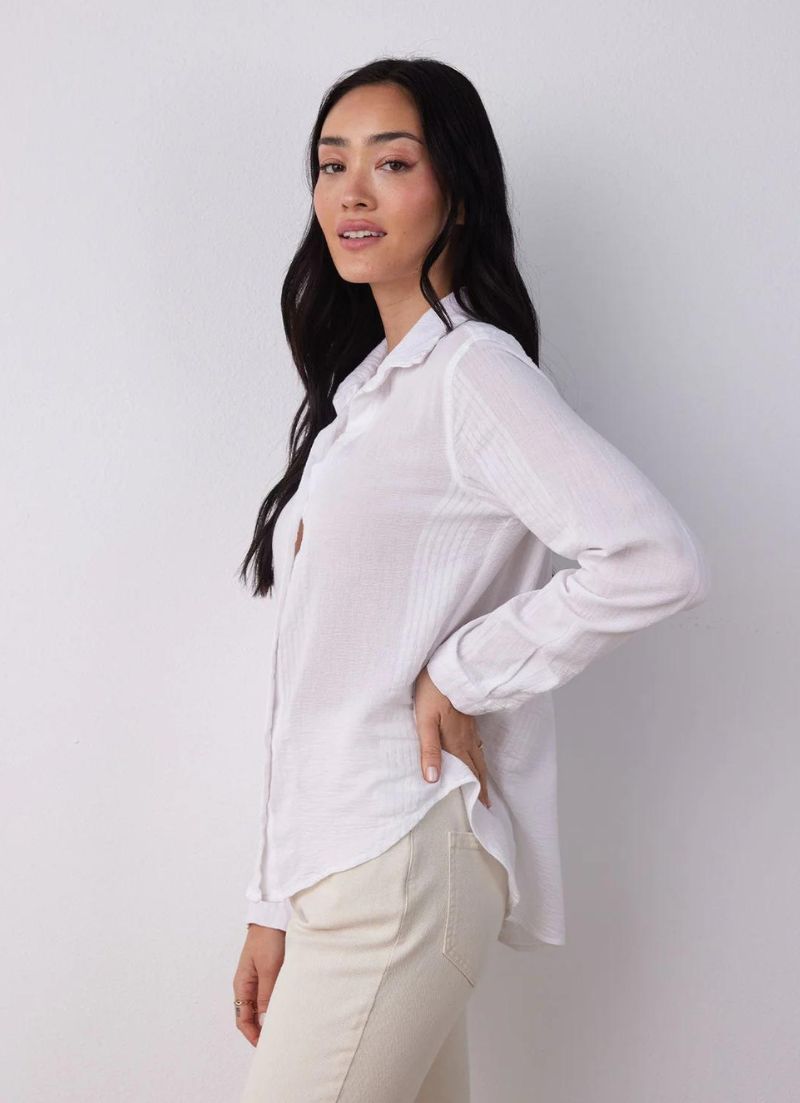 Classic Button Down