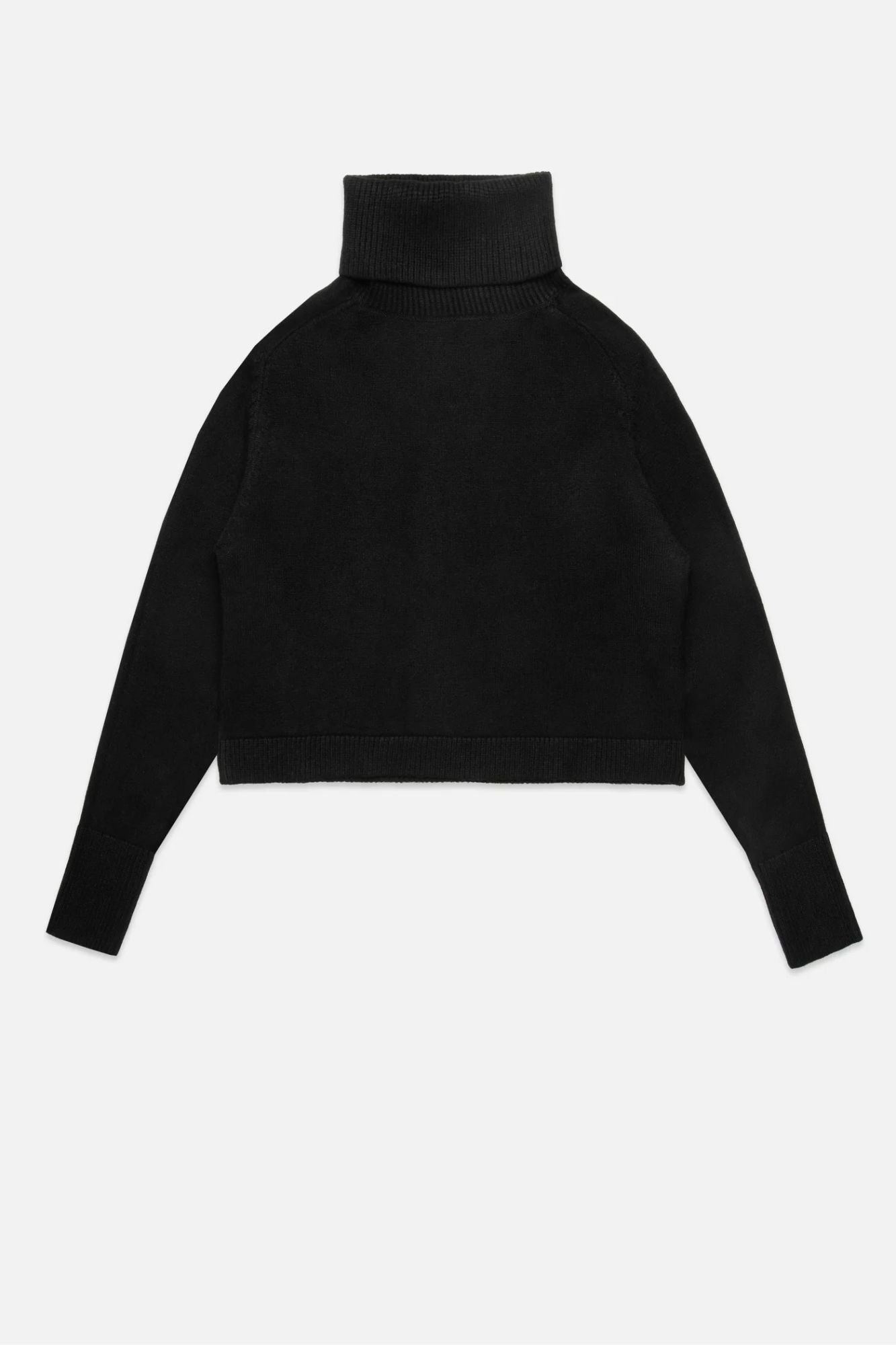 Pugliese Turtleneck