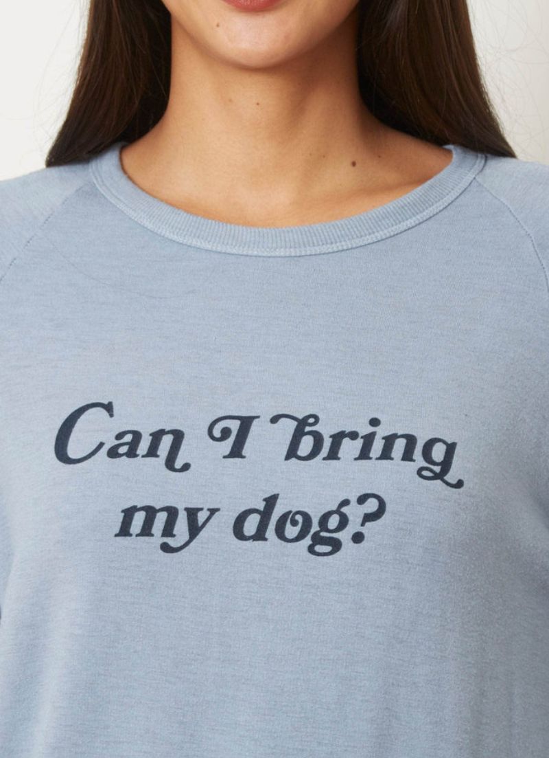 Puis-je amener mon chien ? Sweat-shirt