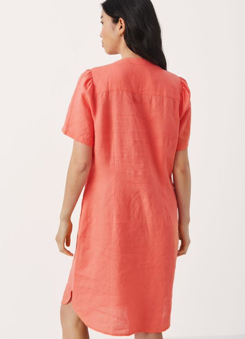 Robe Aminase