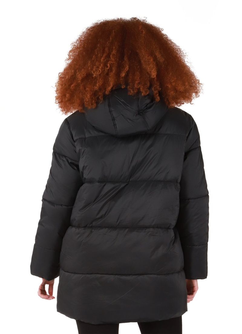 Hooded Puffer
