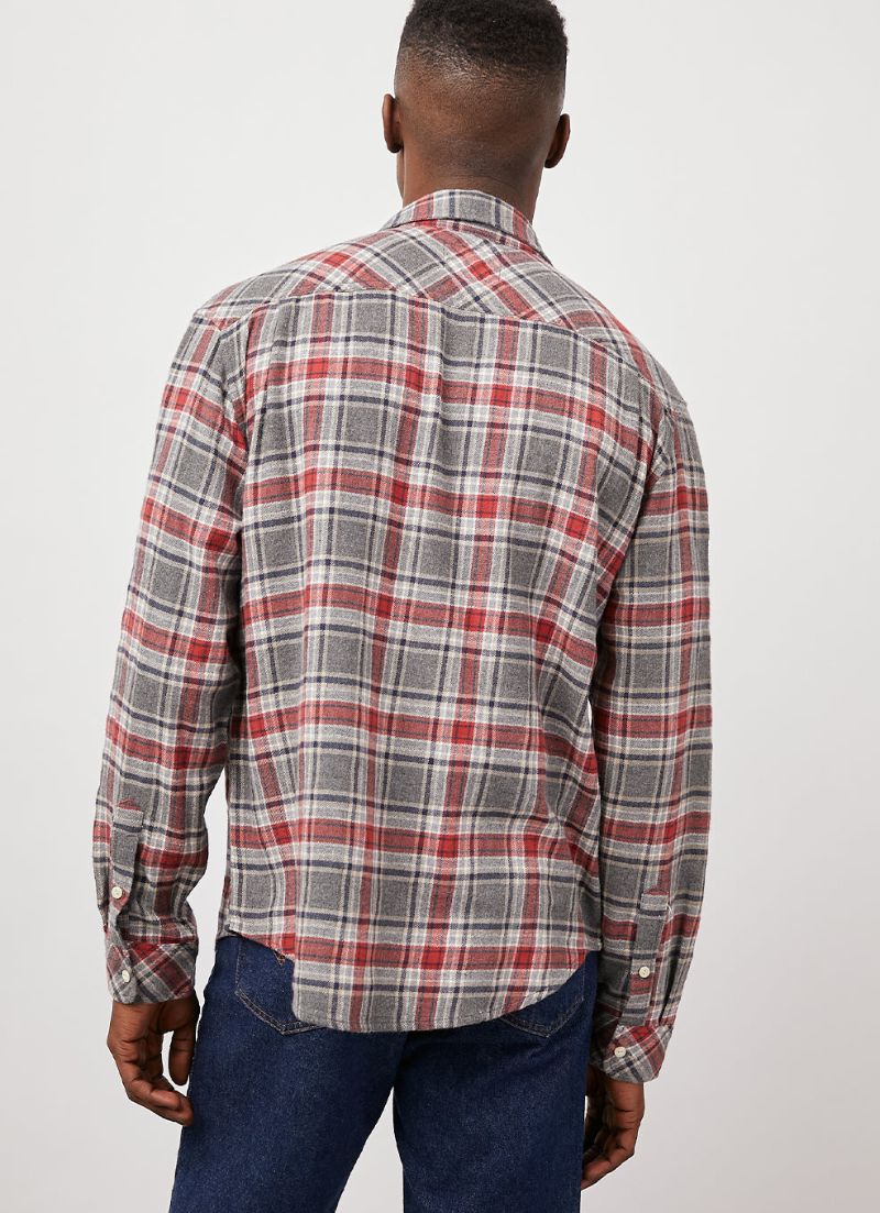 Chemise pour hommes Lennox | Alliage de fruits mûrs 