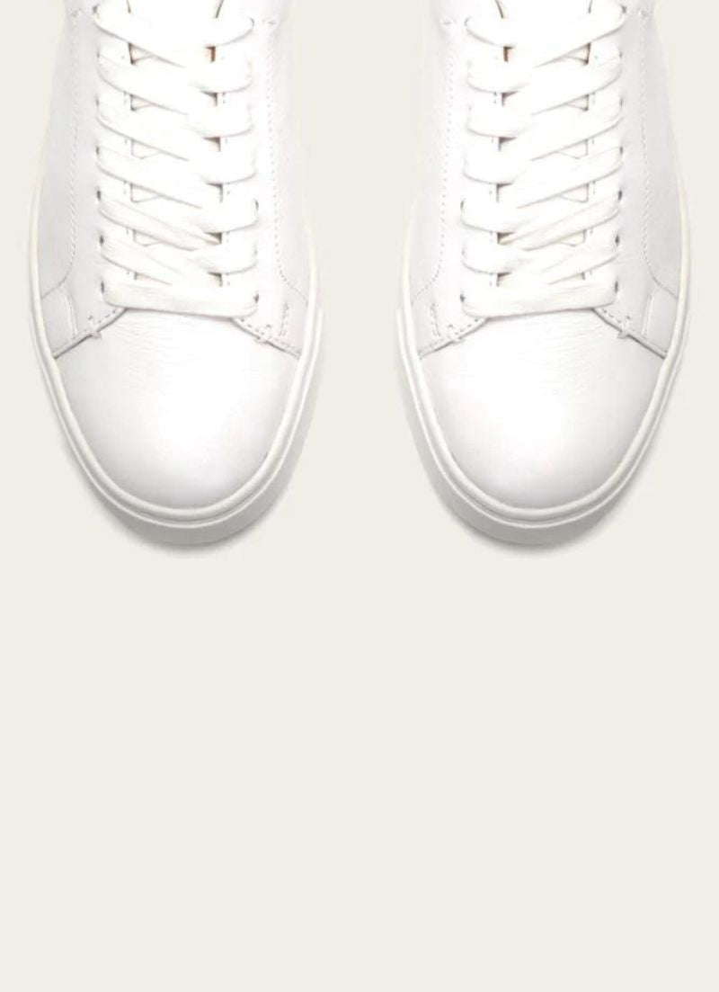 Ivy Low Lace Sneaker