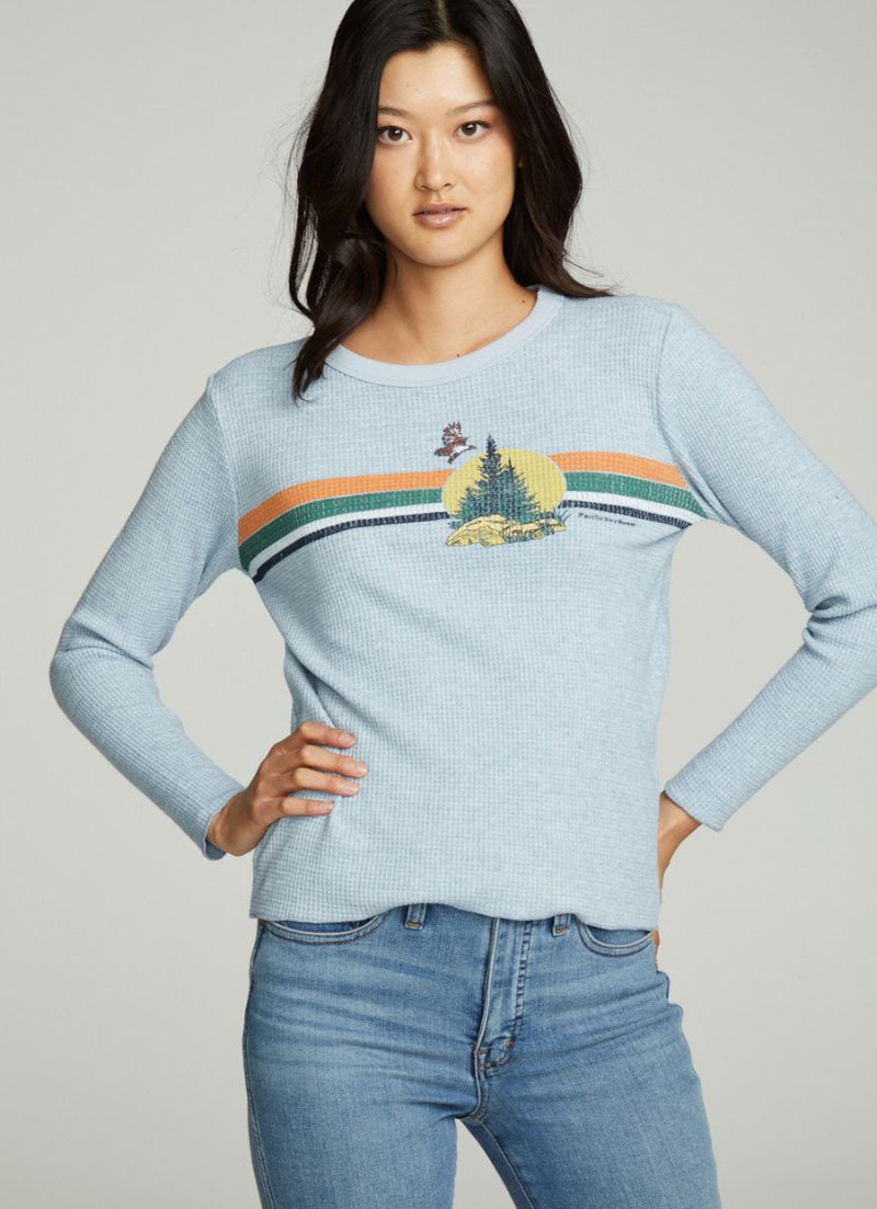Pacific Northwest Sweater